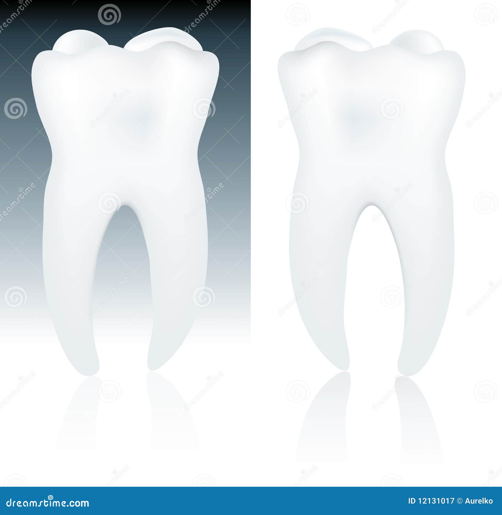 Vector illustration of the white tooth