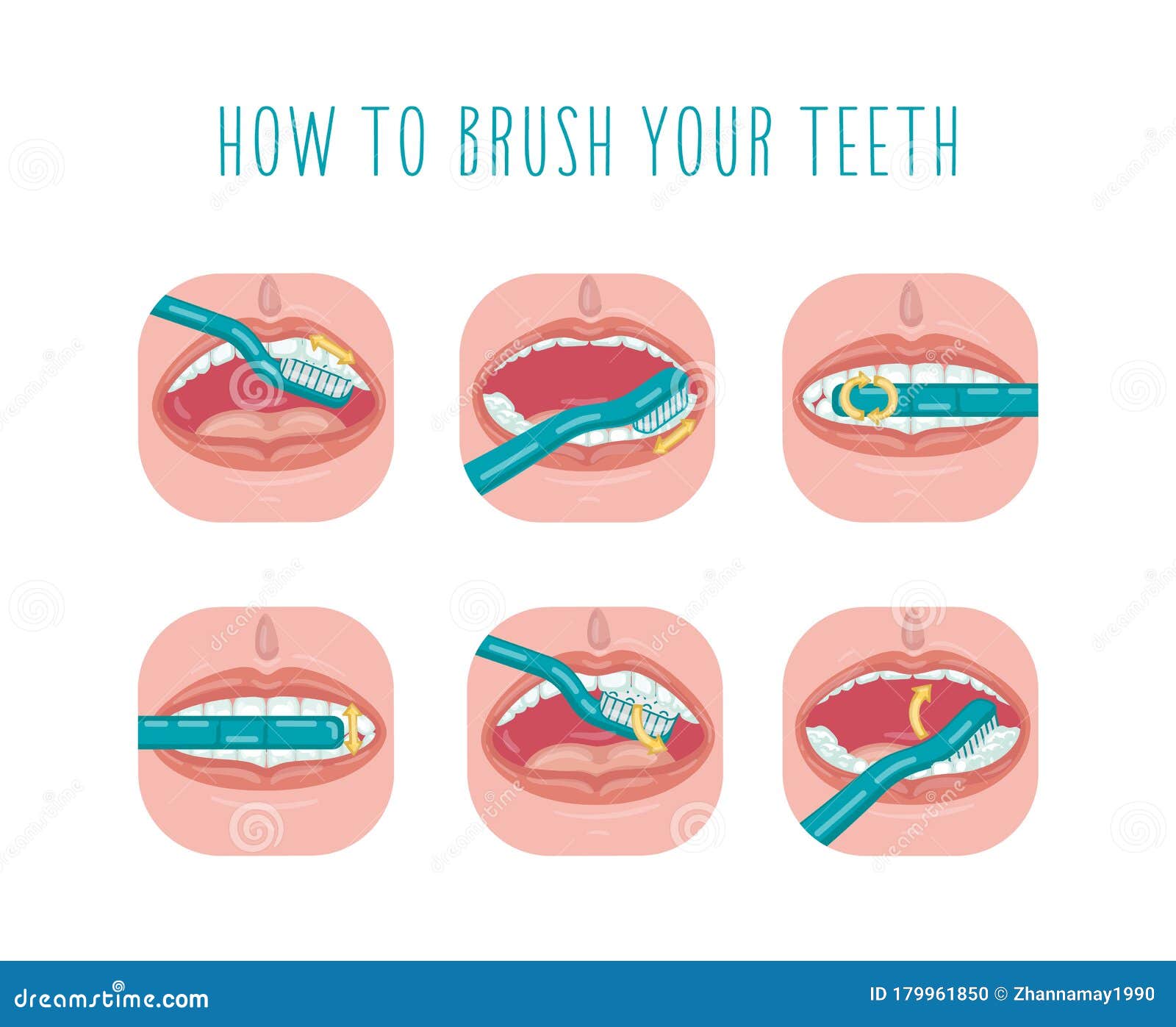 Tooth brushing scheme stock vector. Illustration of dental - 179961850