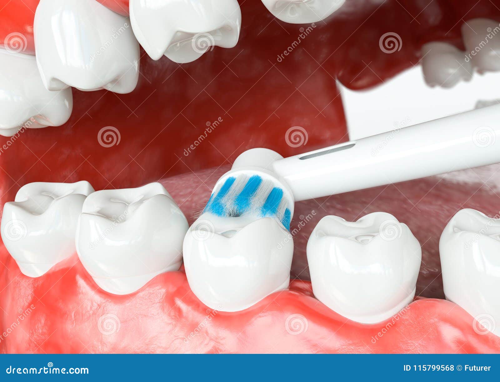 Tooth Cleaning Inner Surfaces 3D Rendering Stock Photo Image of