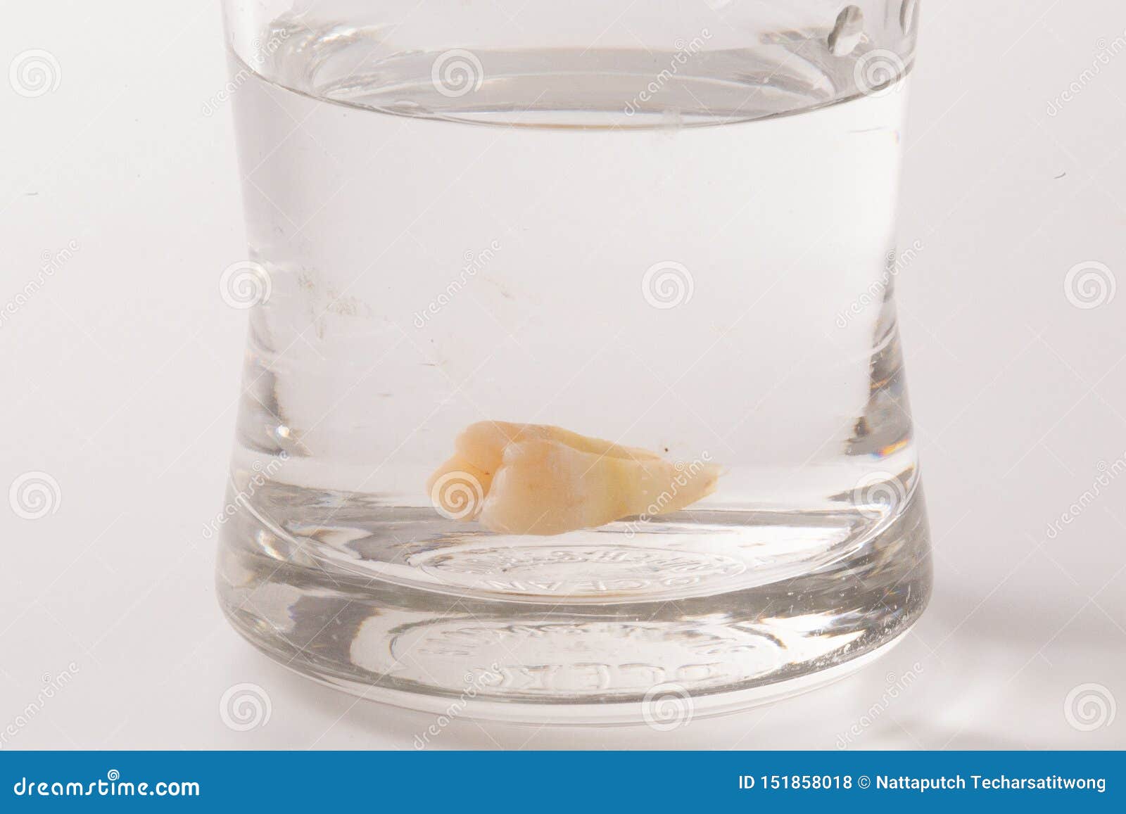 Tooth Decay in a Glass of Water Stock Photo Image of care, doctor