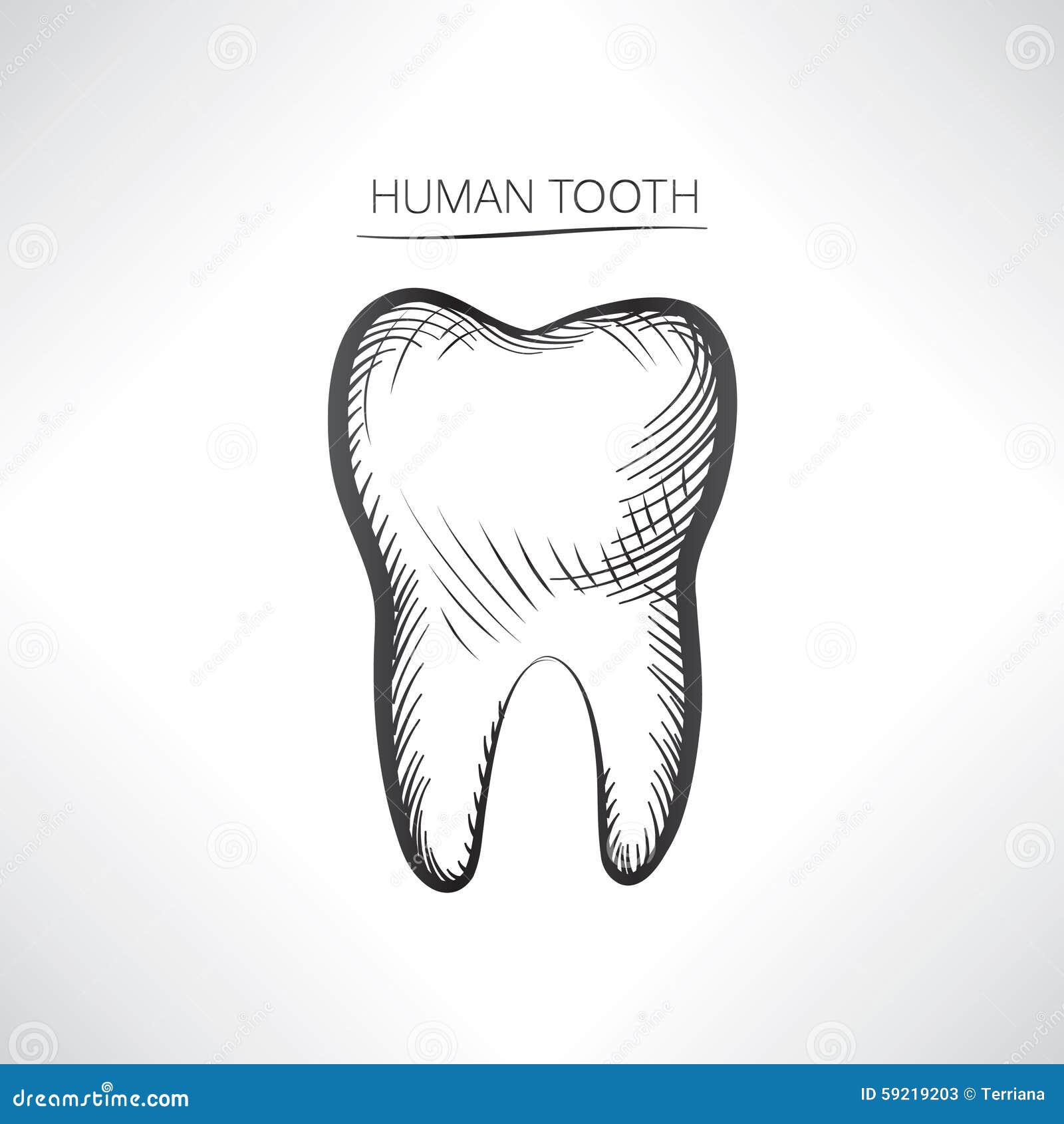 This is a photo of Massif Drawing Of Teeth This is an image of Massif Drawing Of Teeth