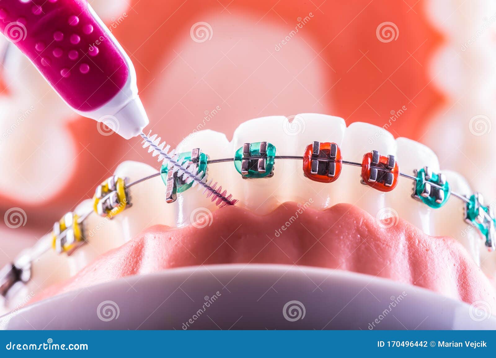 tooth model from dental braces with inter dental teeth cleaning brush