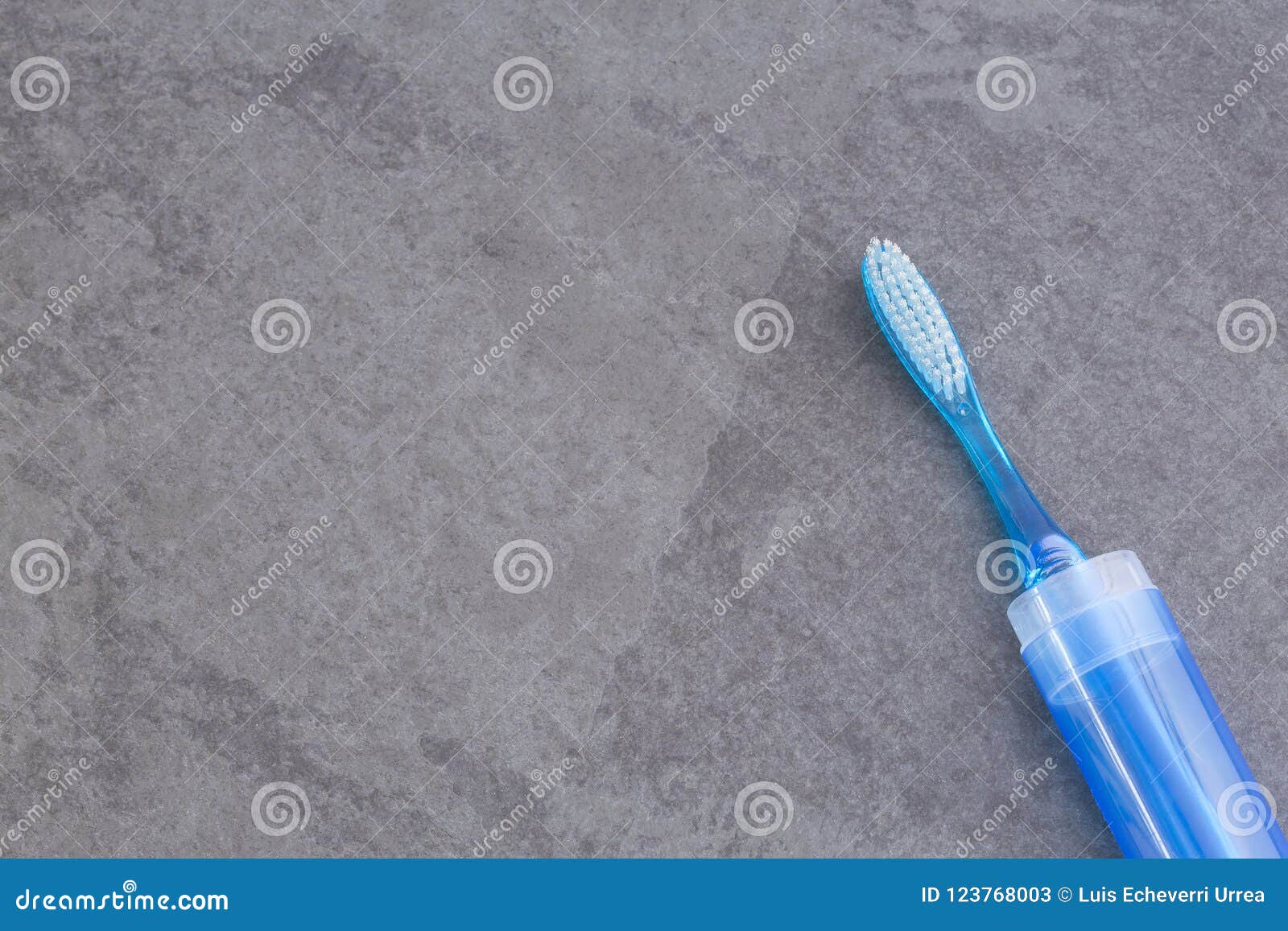 toothbrush with plastic case - top view