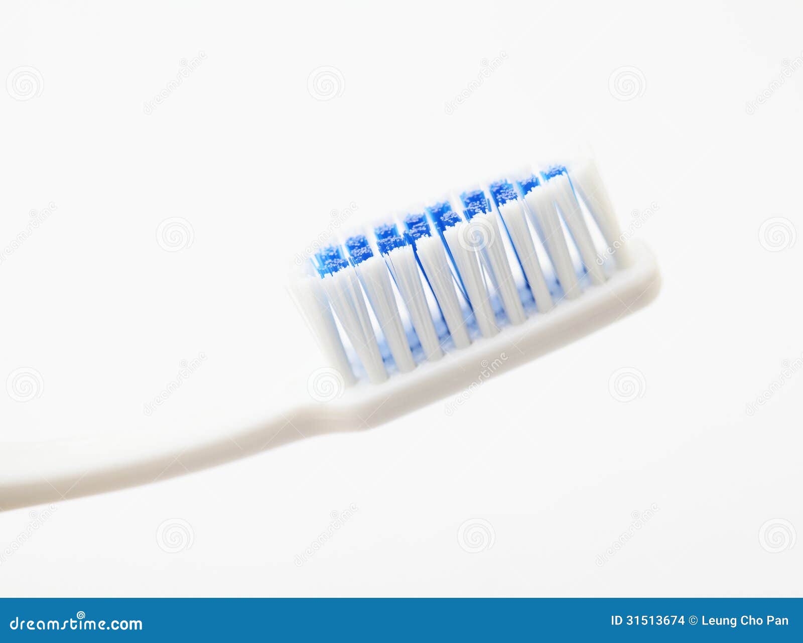 Toothbrush on White Background Stock Photo Image of prophylaxis