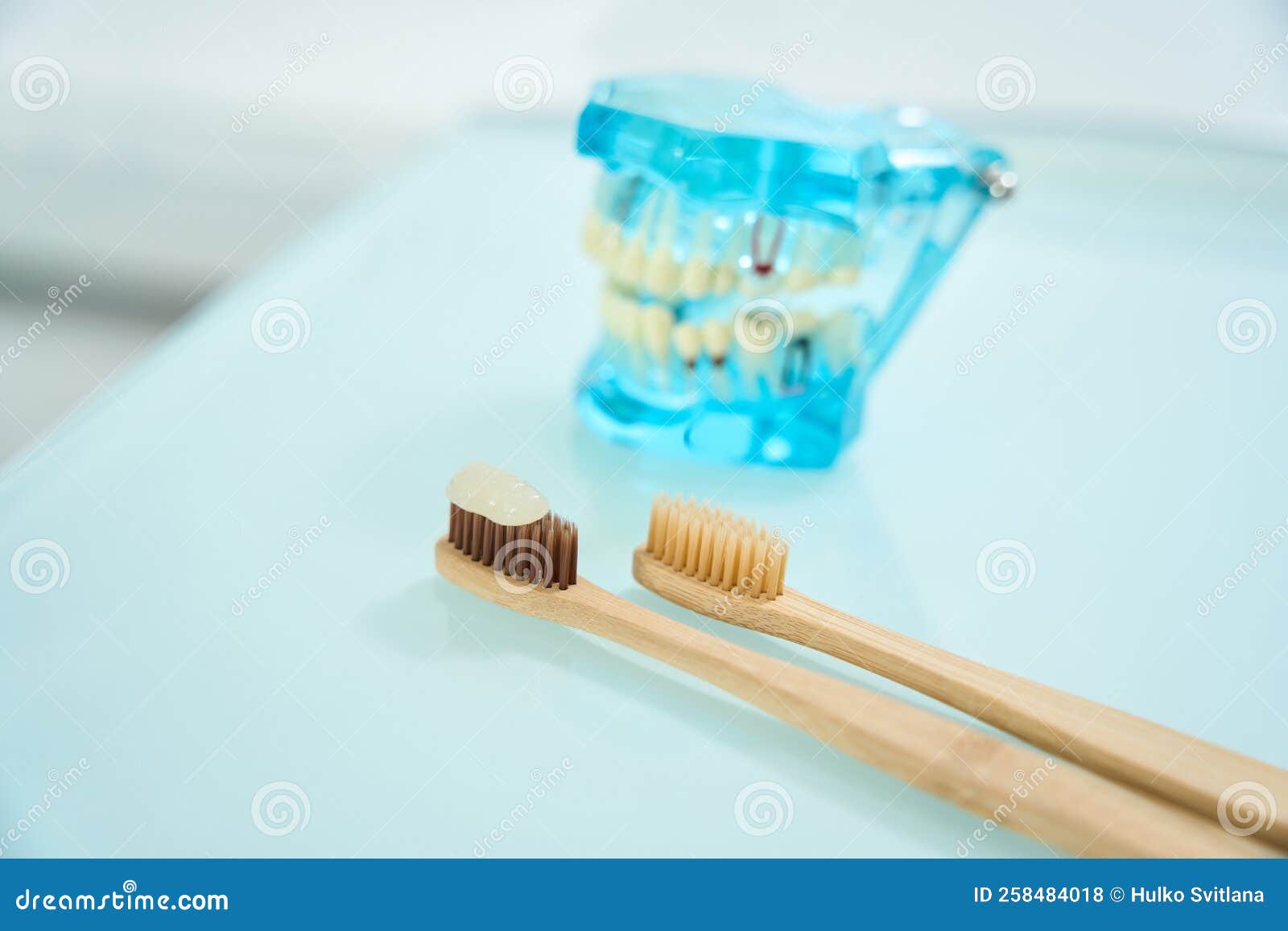 Toothbrushes and Plastic Jaw Lie on Table in Dentist Office Stock Photo