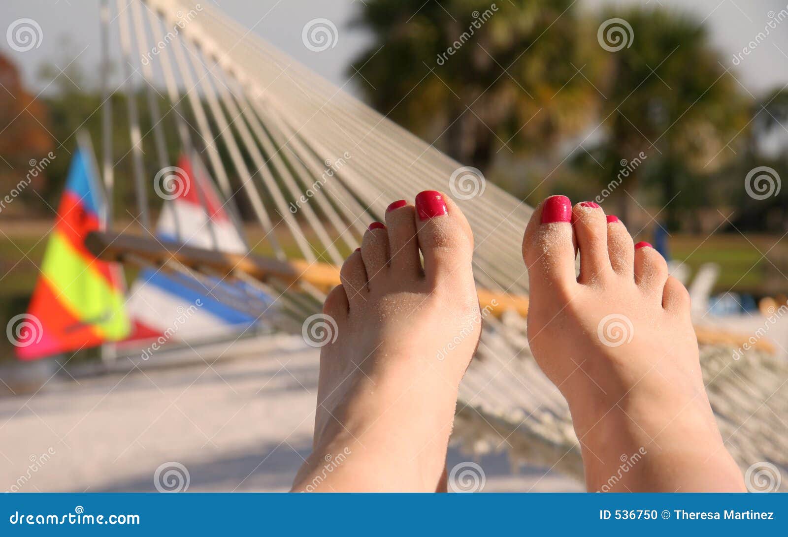 Tootsies stock photo. Image of beach, sailboat, deck, sleep - 536750