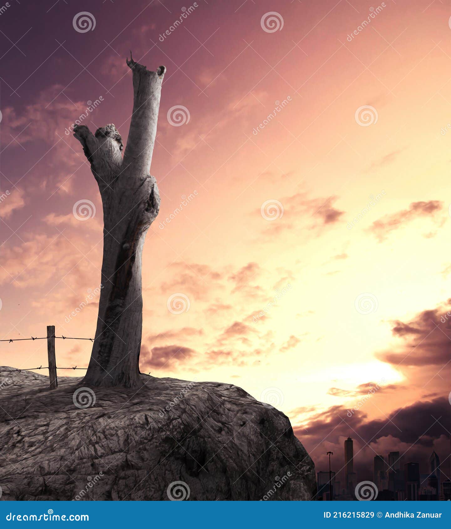 On Top of a Cliff at Sunset and Dead Tree Stock Image - Image of culture,  fairytale: 216215829