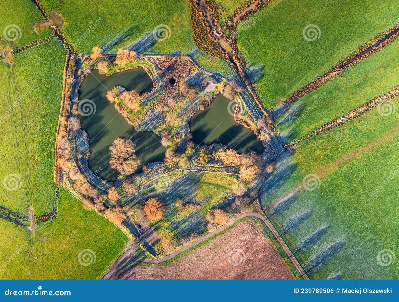 Top Dawn View Over Ponds, Fields and Meadows, Topsham Stock Photo