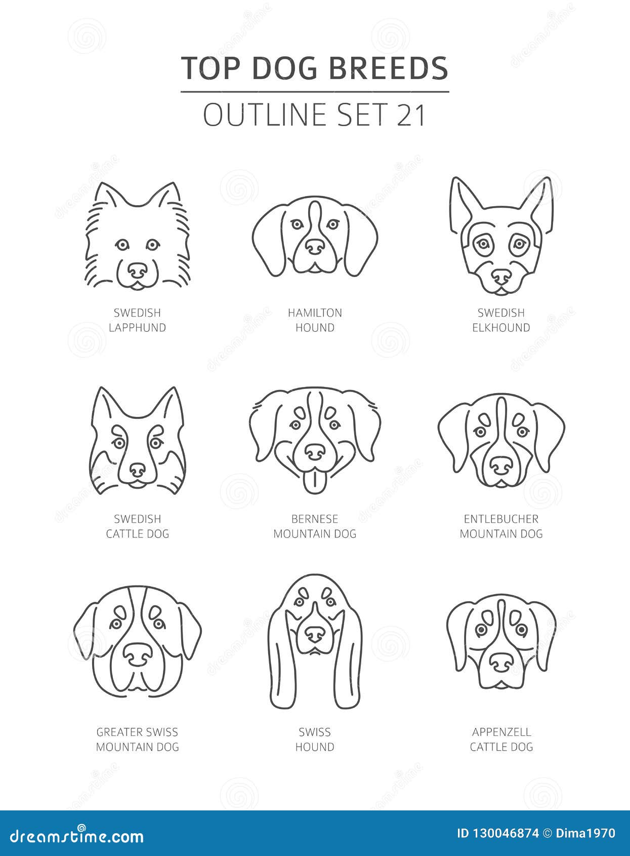 Greater Swiss Mountain Dog Stock Illustrations 28 Greater Swiss Mountain Dog Stock Illustrations Vectors Clipart Dreamstime