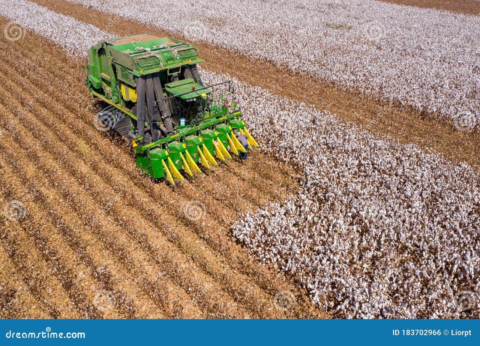 Cotton Picker