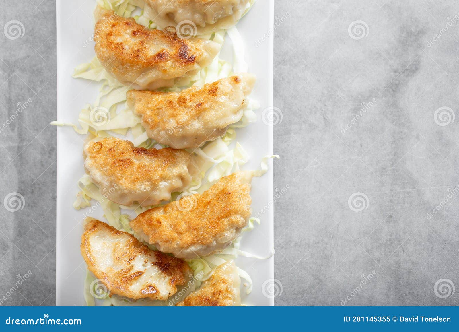 Top Down Plate of Fried Jiaozi, Chinese Dumplings, Potstickers Stock