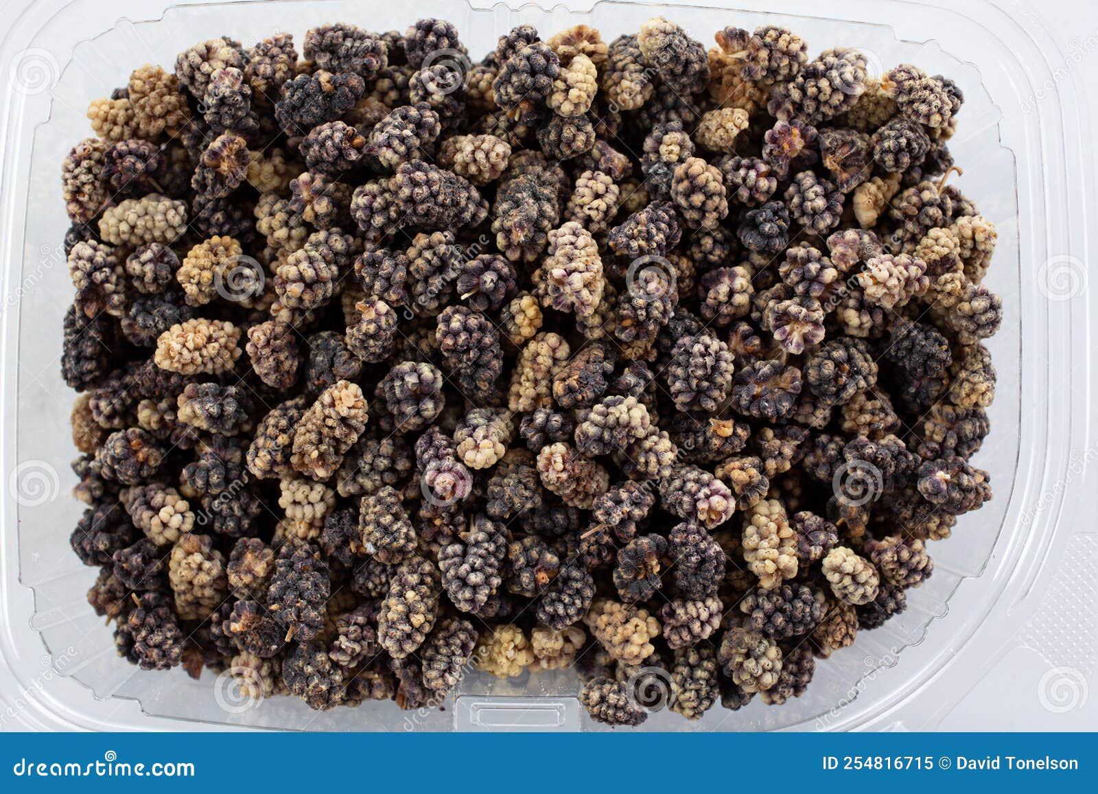 Top down dry mulberries stock image. Image of pile, garden 254816715