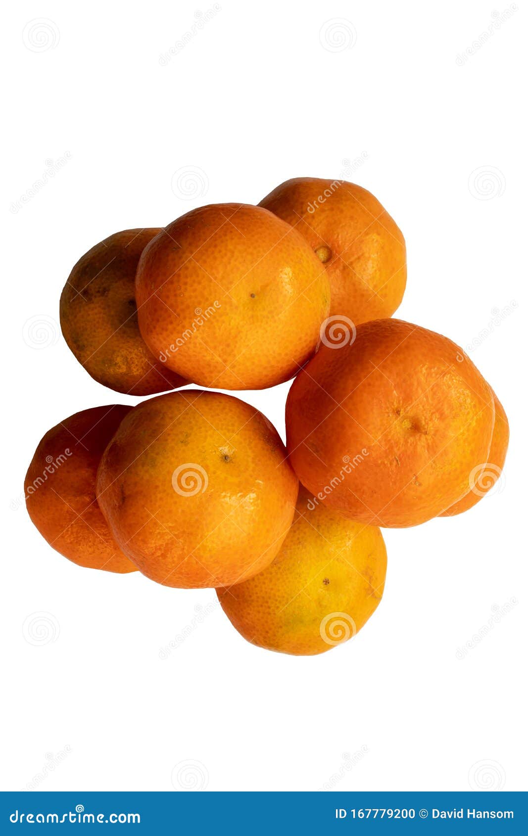 Seven Satsumas on a White Background Stock Photo Image of food