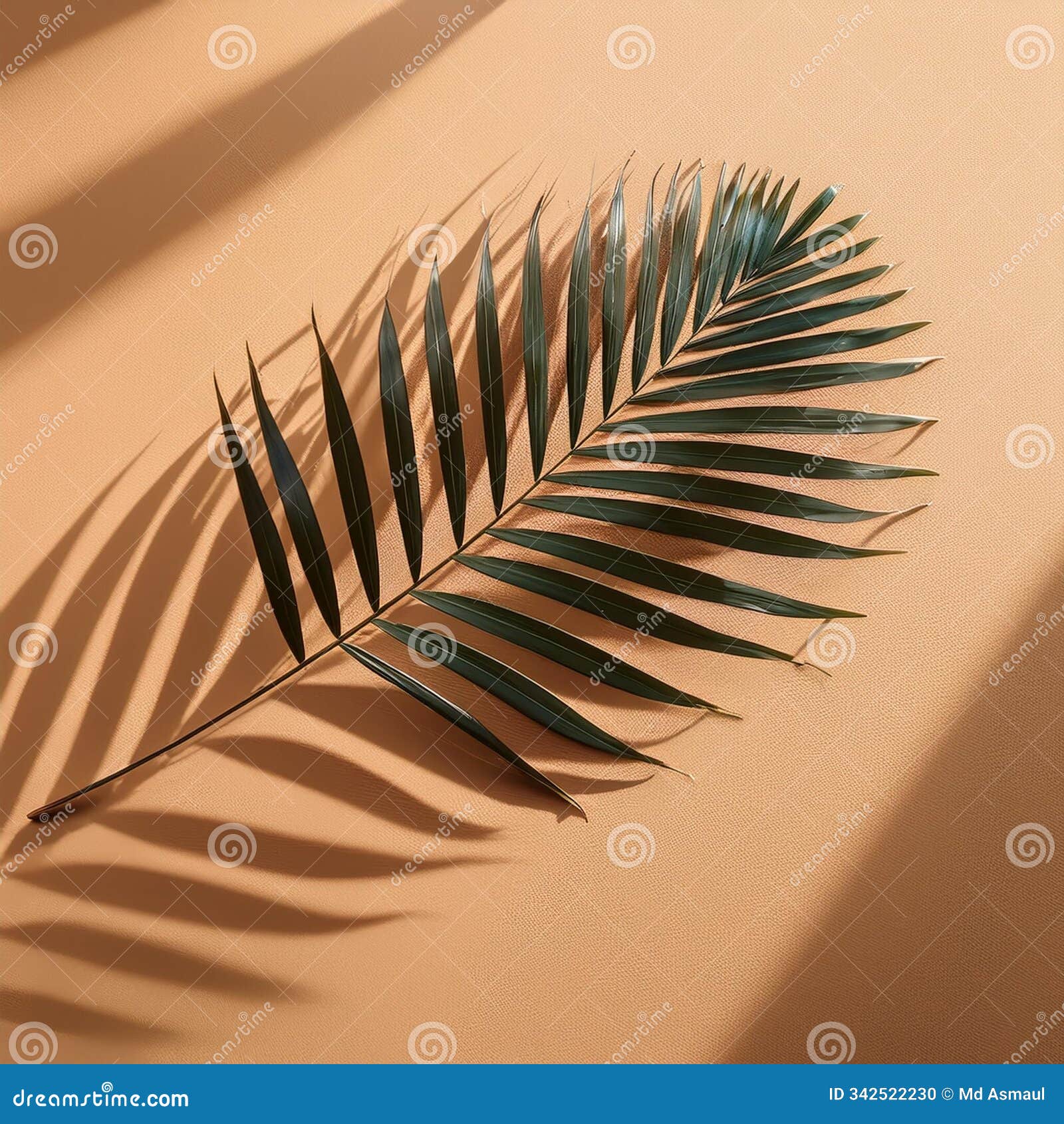 top-down view of a tropical palm leafs shadow on a sand-colored surface. minimal summer aes