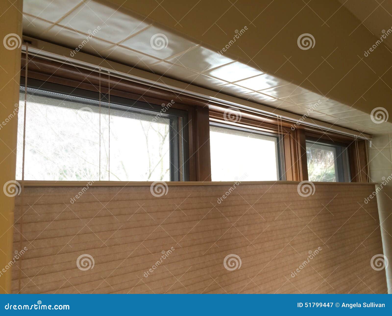 Topdown window shades stock image. Image of feature 51799447
