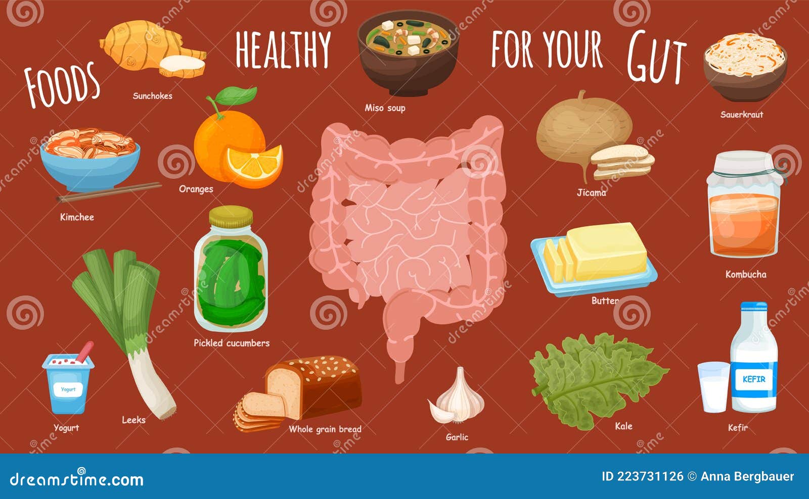 Landskab uren Gensidig Top Foods for Gut Health. Healthy Products Collection Stock Vector -  Illustration of garlic, abdomen: 223731126