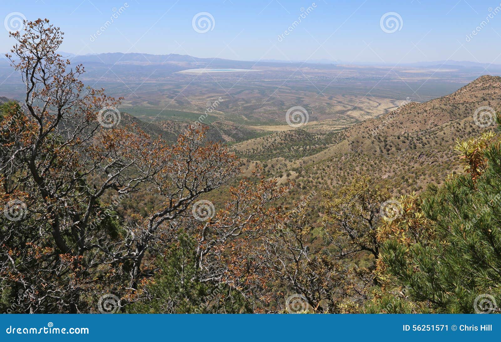 top of madera canyon