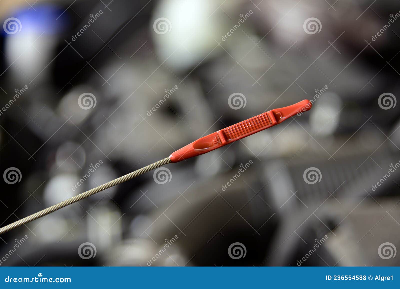 Checking the Oil Level in the Car Engine Stock Photo Image of