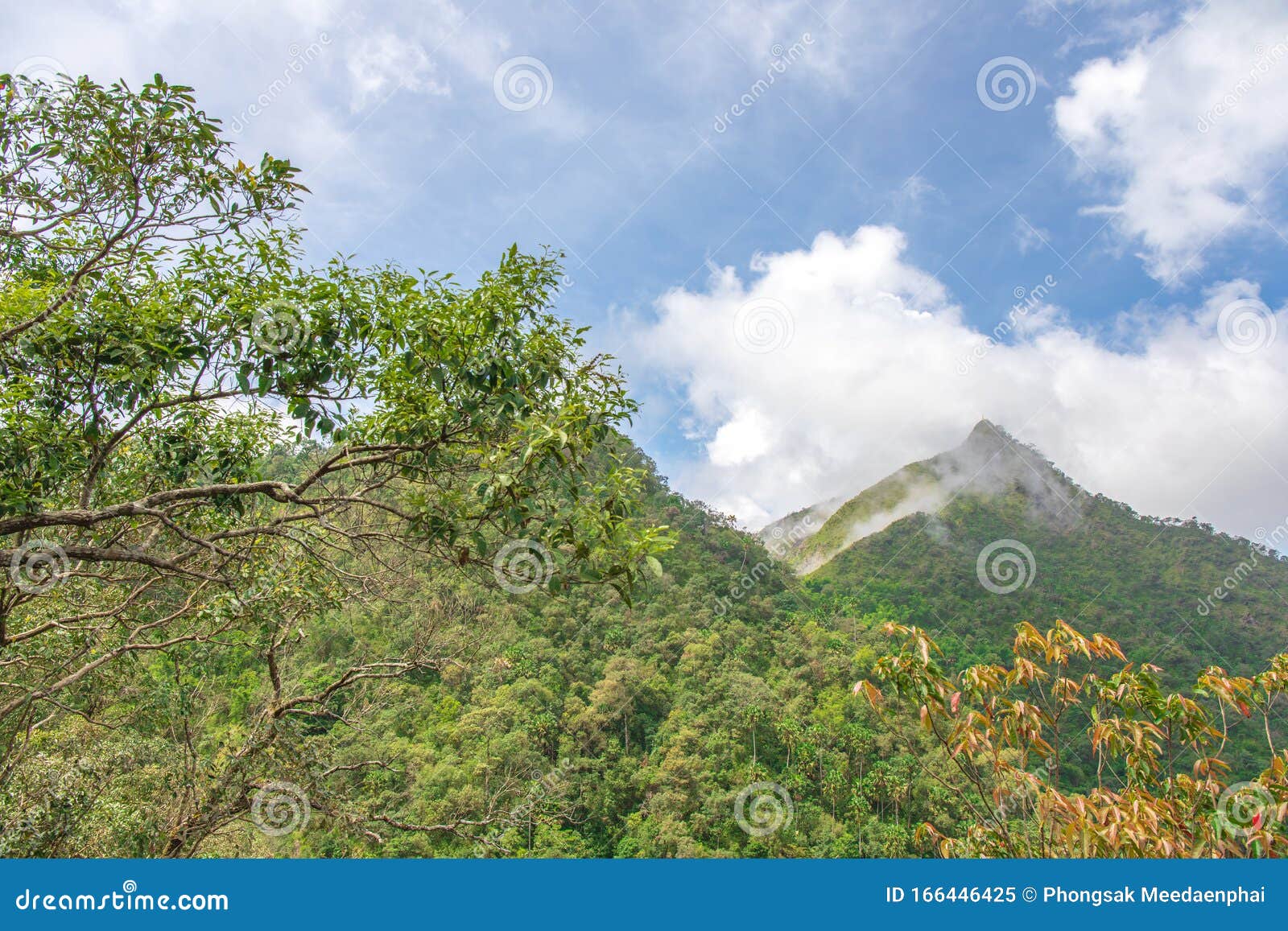 top of peak mountain forest with white clouds or fog and blue sky of `lerguada` or `ler gwa dor` tak province, thailand, asia.