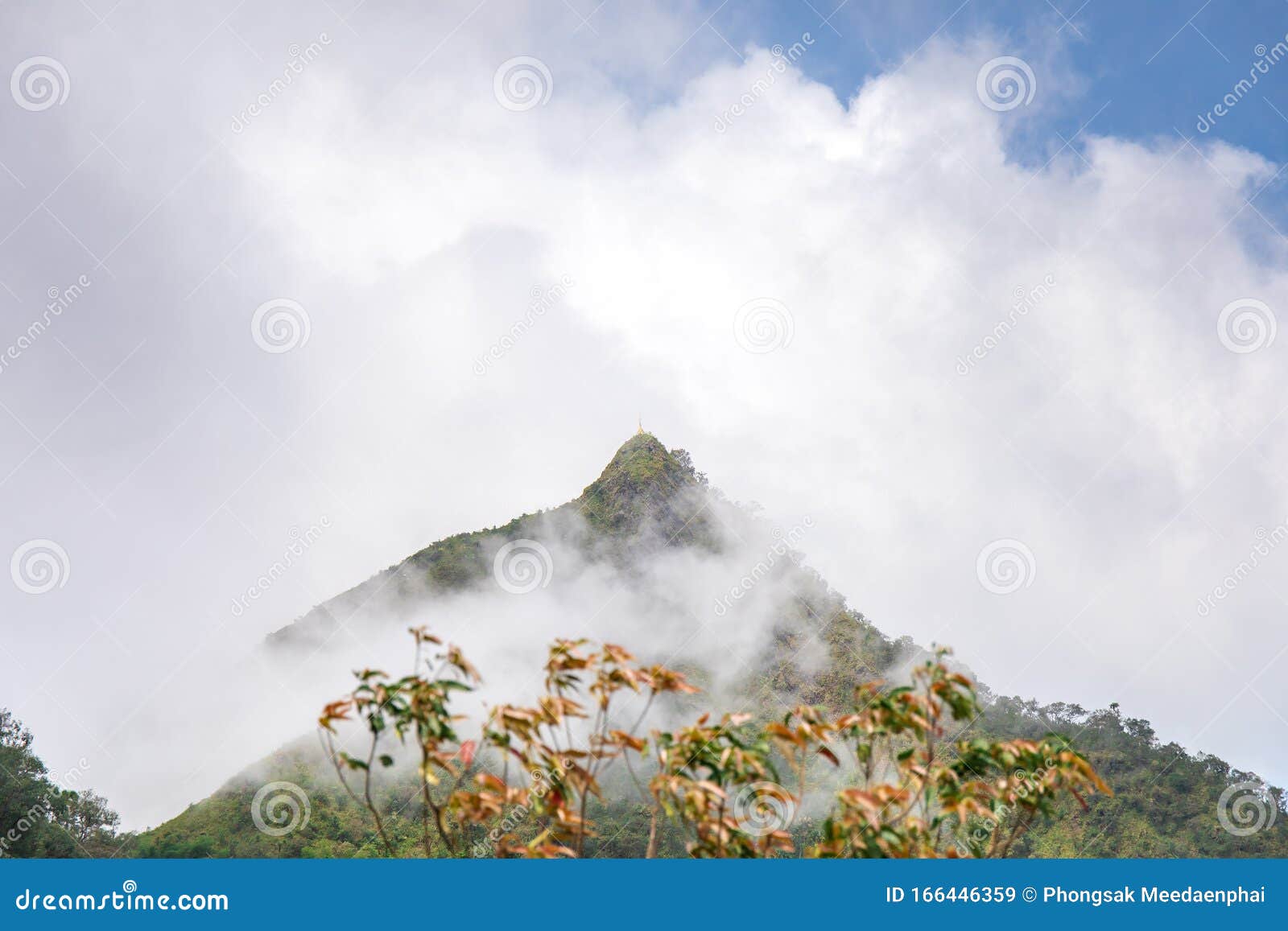 top of peak mountain forest with white clouds or fog and blue sky of `lerguada` or `ler gwa dor` tak province, thailand, asia.