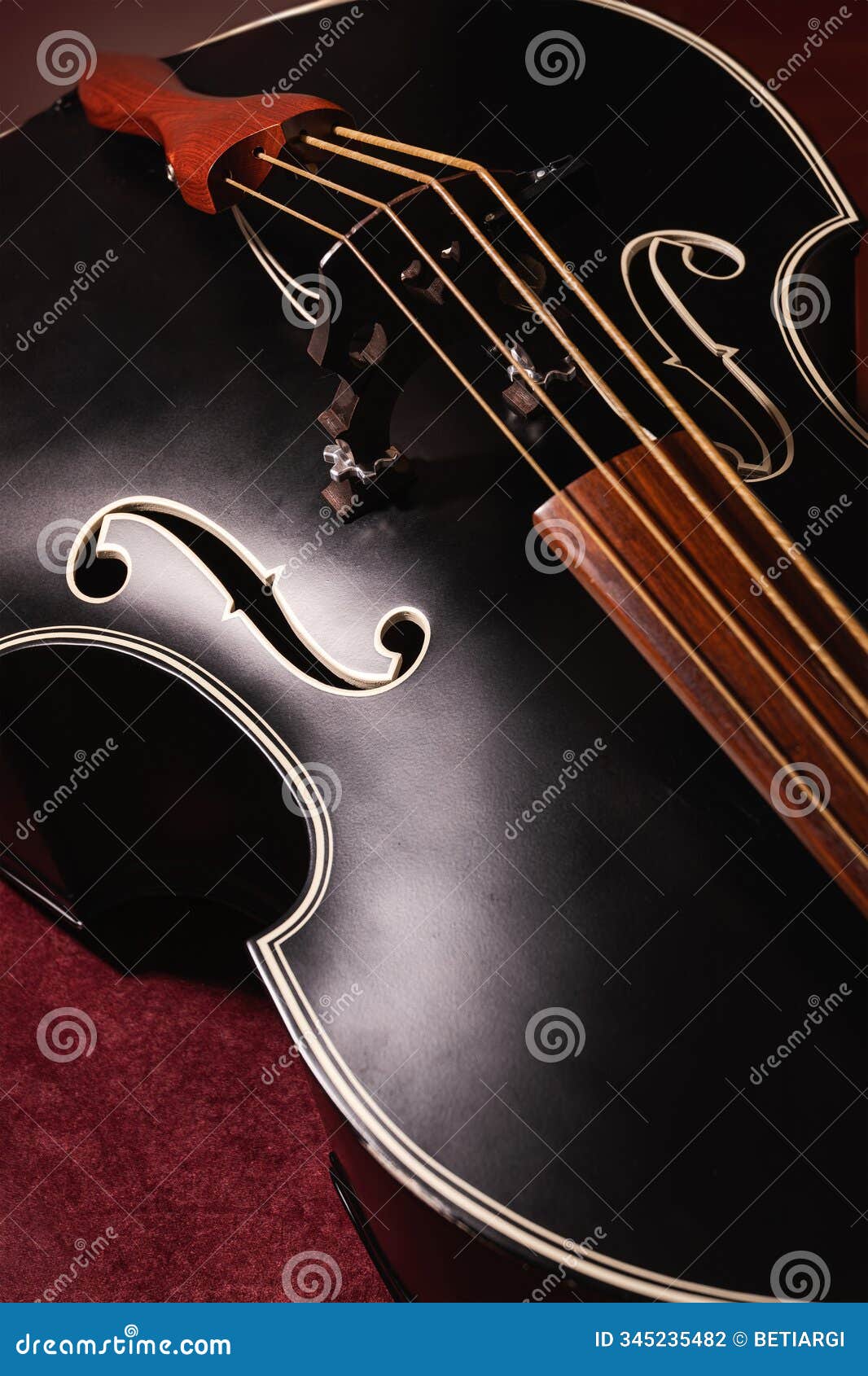 top side view of a ÃÂ¾ double bass showing resonant body, fingerboard, strings, f-holes, bridge, tailpiece, and the side.