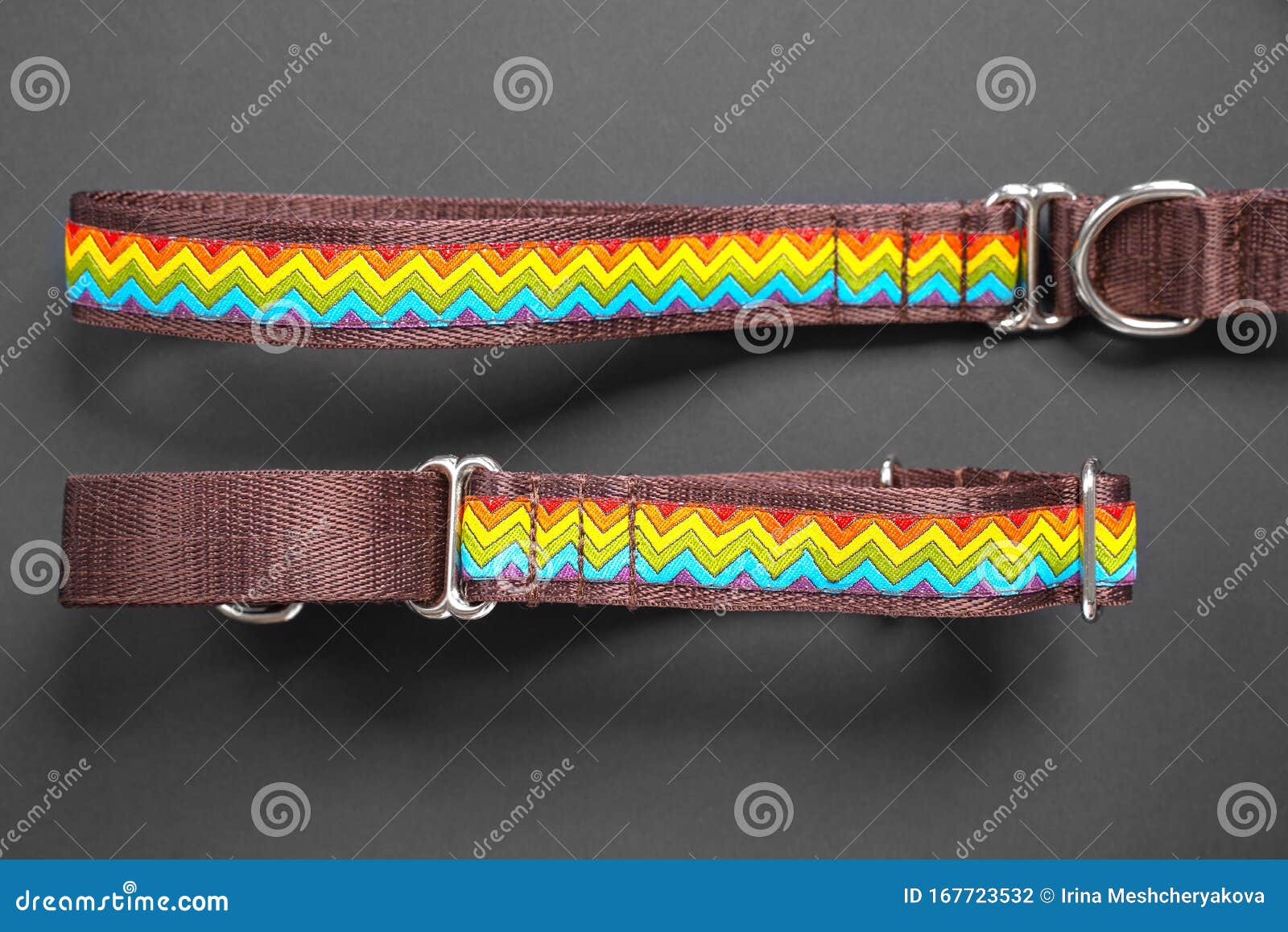 dog collar and leash in one