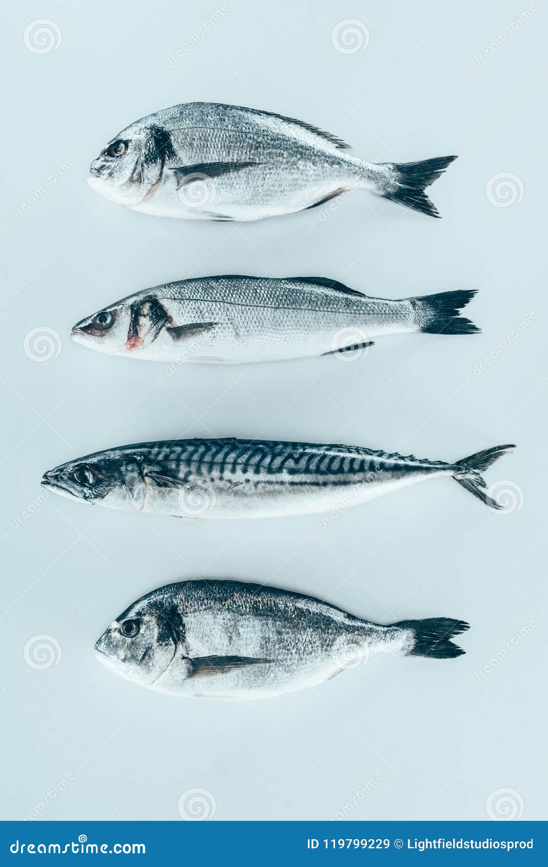 Assorted Dry Uncooked Rice Stall RoyaltyFree Stock Photography 144746285