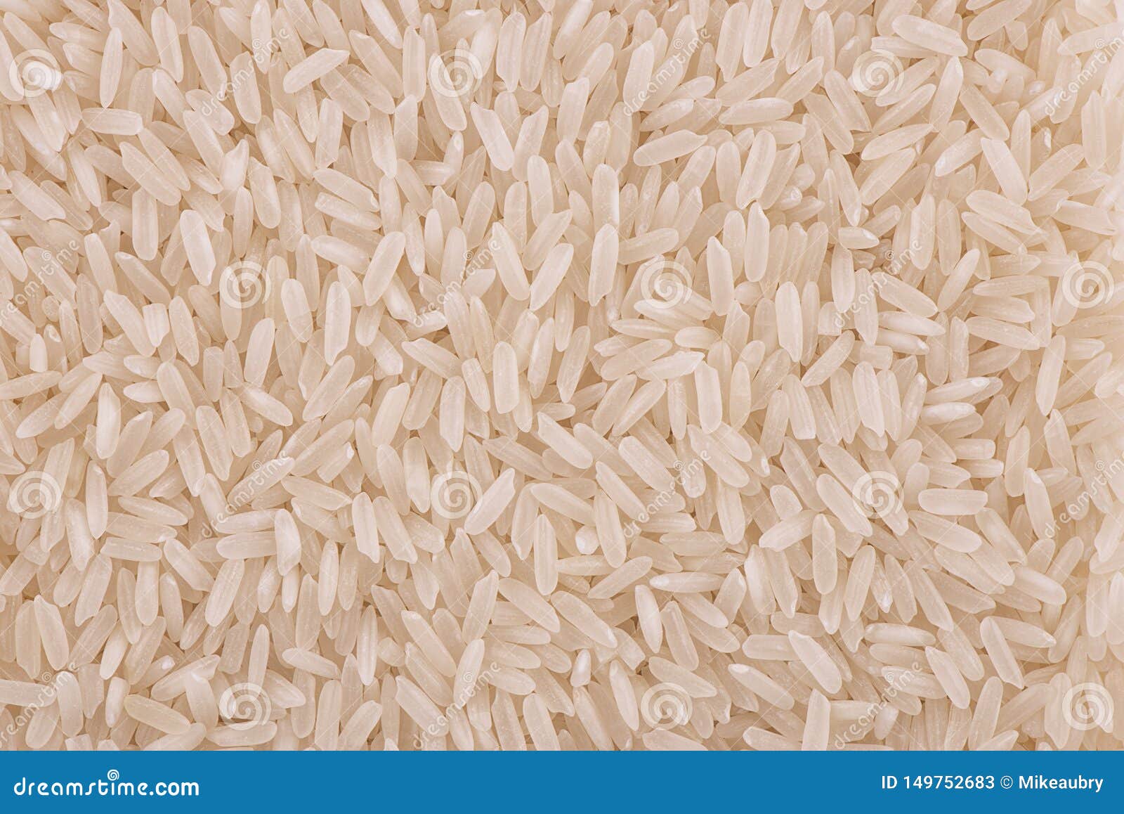 Top View on Background Texture of Uncooked Jasmine Rice. Stock Image