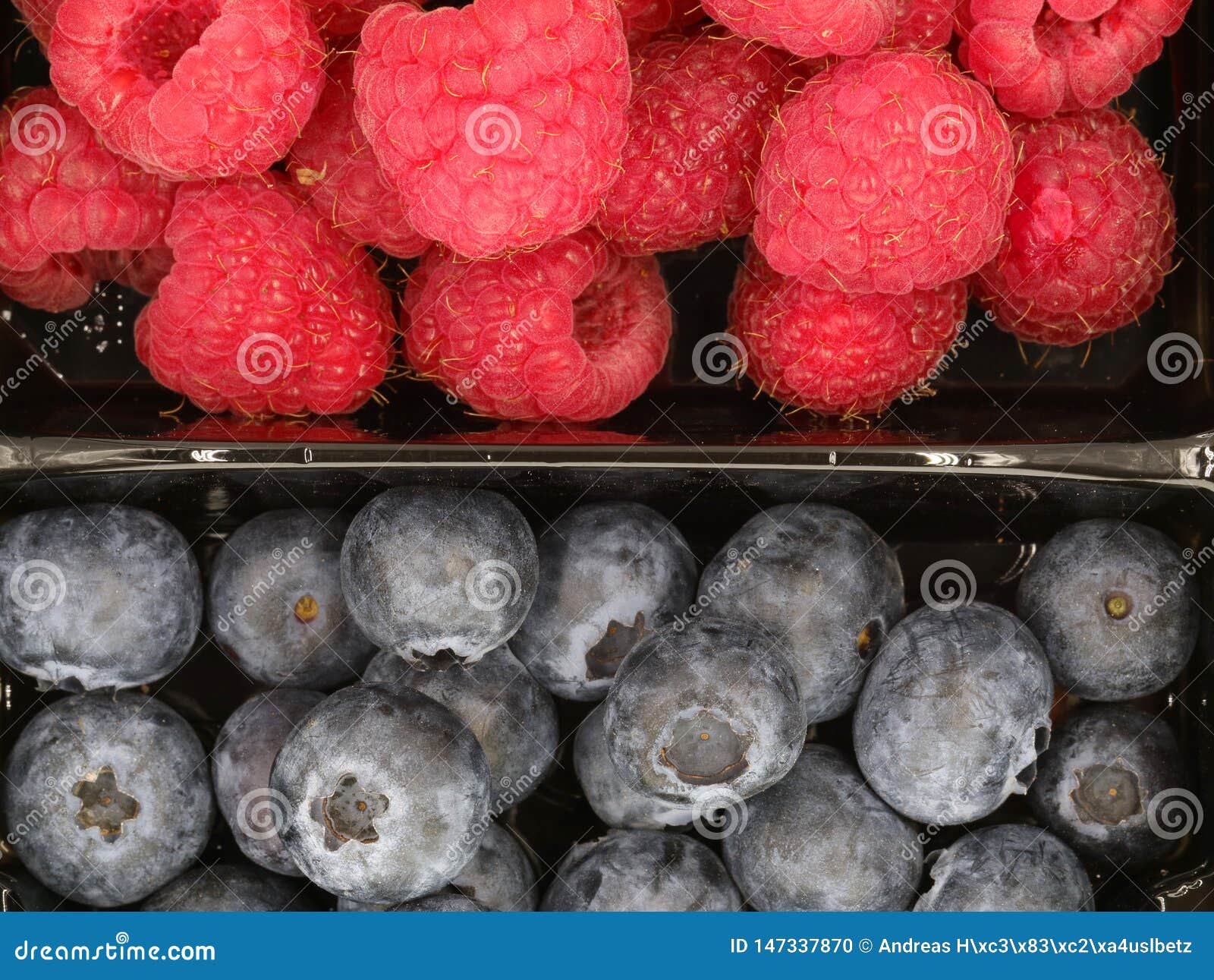 Top View of Blueberries and Raspberries Divided Horizontally, Two Types