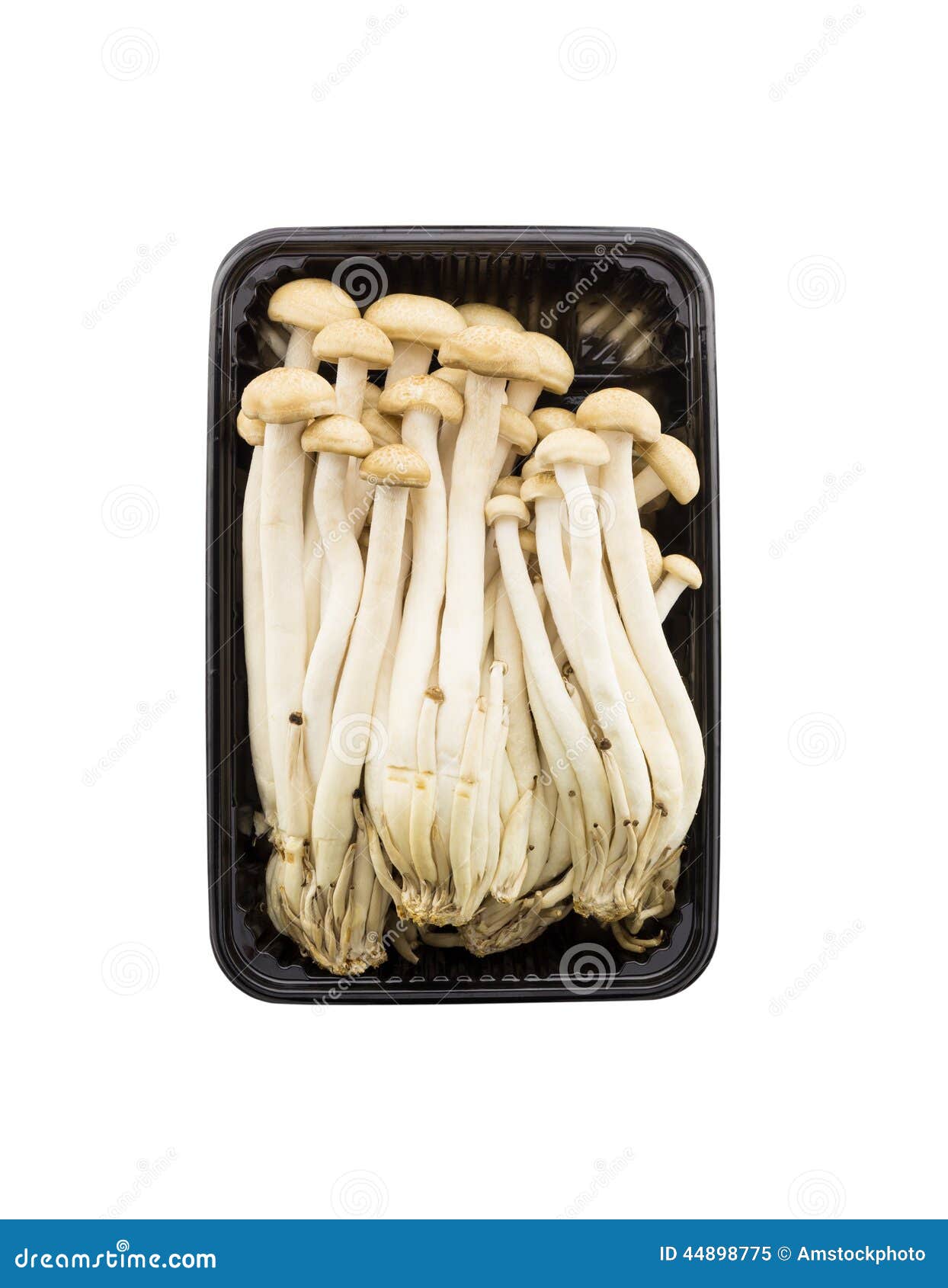 Top View Brown Beech Mushrooms, Shimeji Mushroom In Isolated On Stock ...