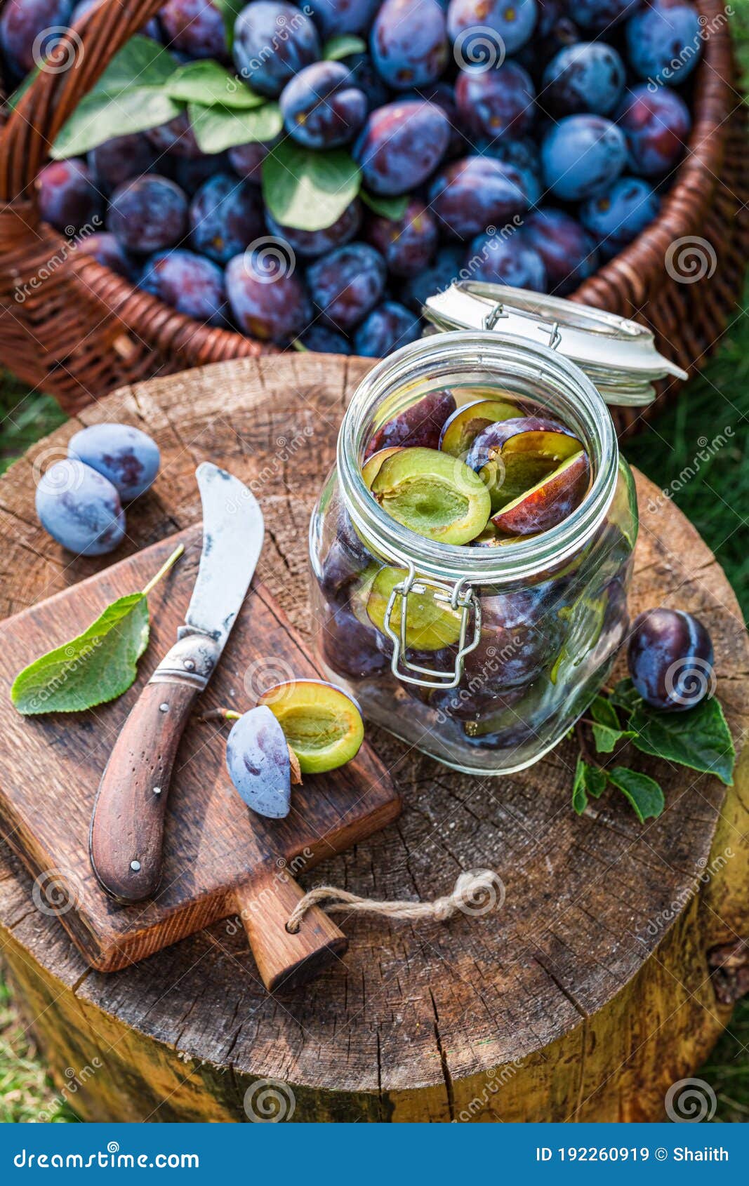 Top View of Canned Plums in the Jar Stock Image Image of glass