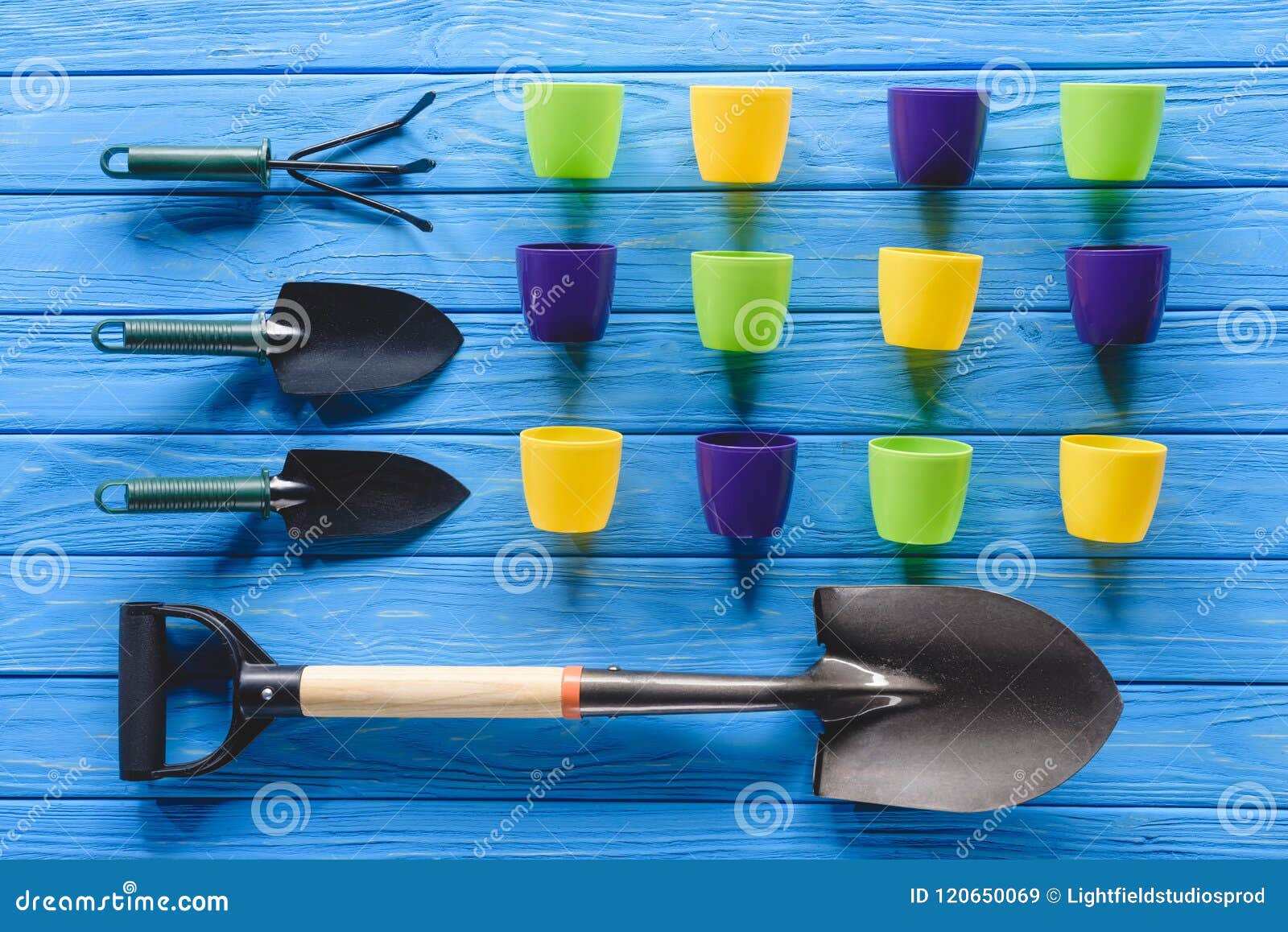 Top View of Colorful Flower Pots in Row and Gardening Equipment on Blue ...