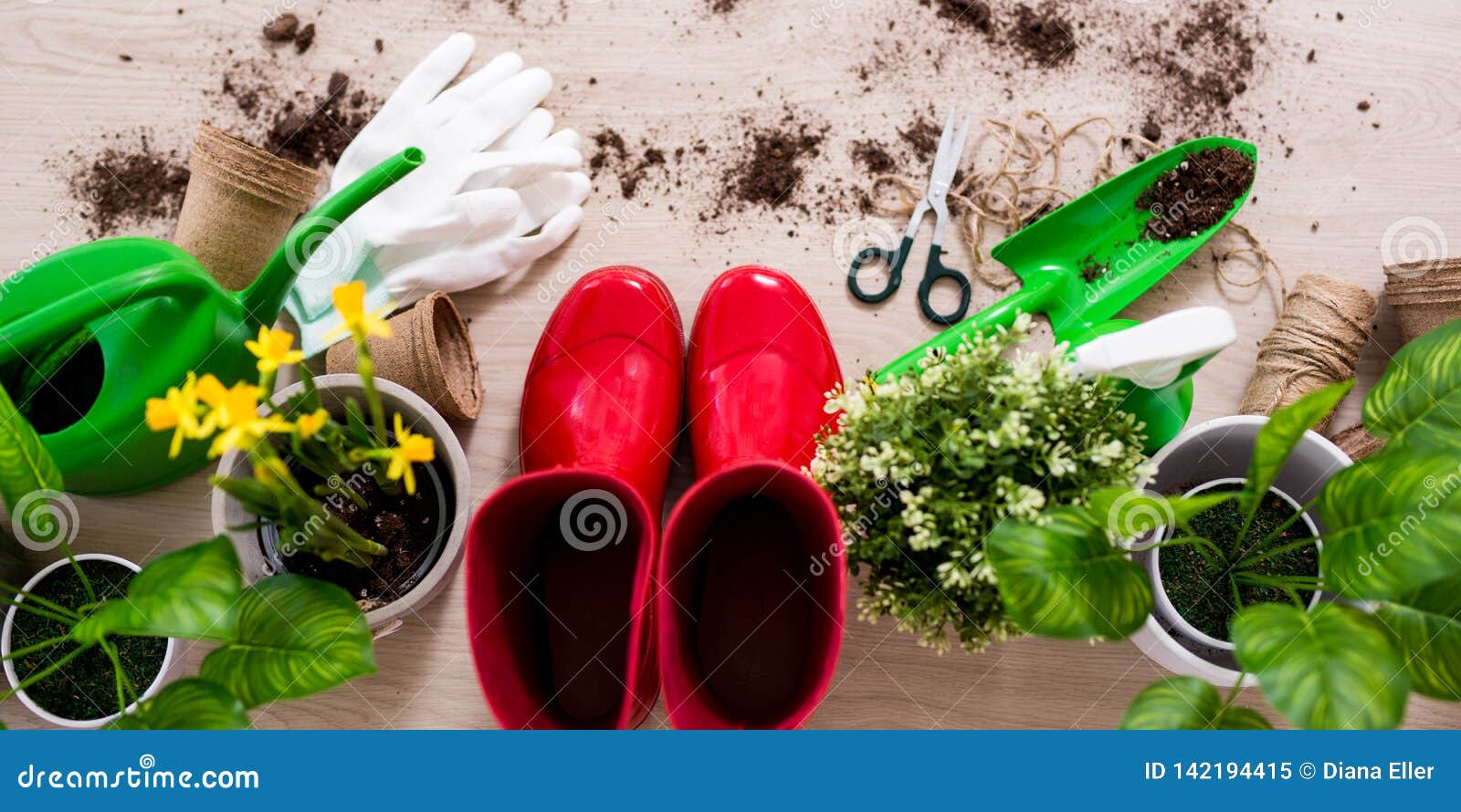 Top View Composition of Gardening Tools and Potted Plants on Wooden