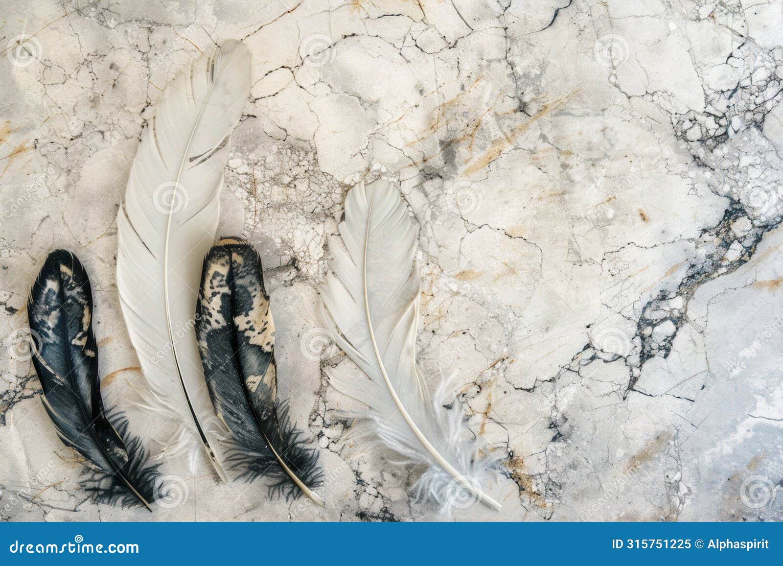 top view of delicate feathers arranged on a cracked marble background