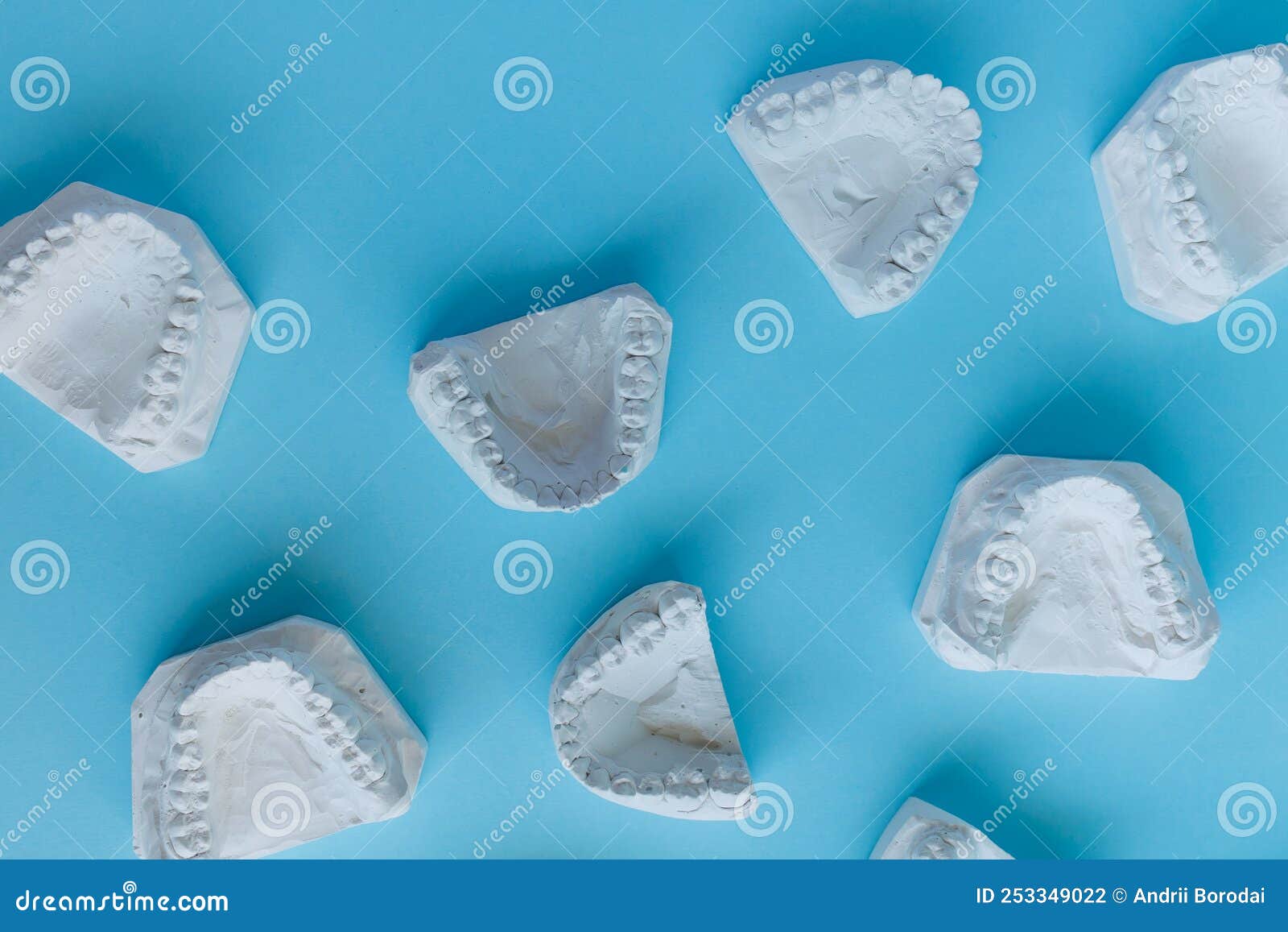 Top View of Dental Plaster Casts of Human Teeth. Stock Photo Image of