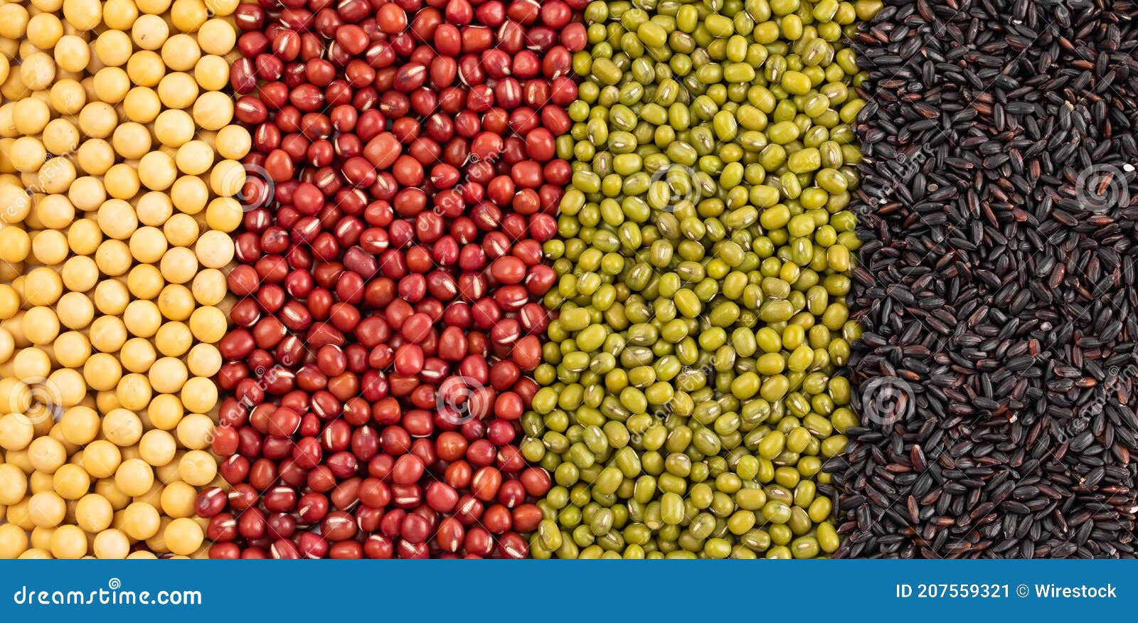 Top View of Different Grain and Cereal Varieties in Vertical Rows Stock