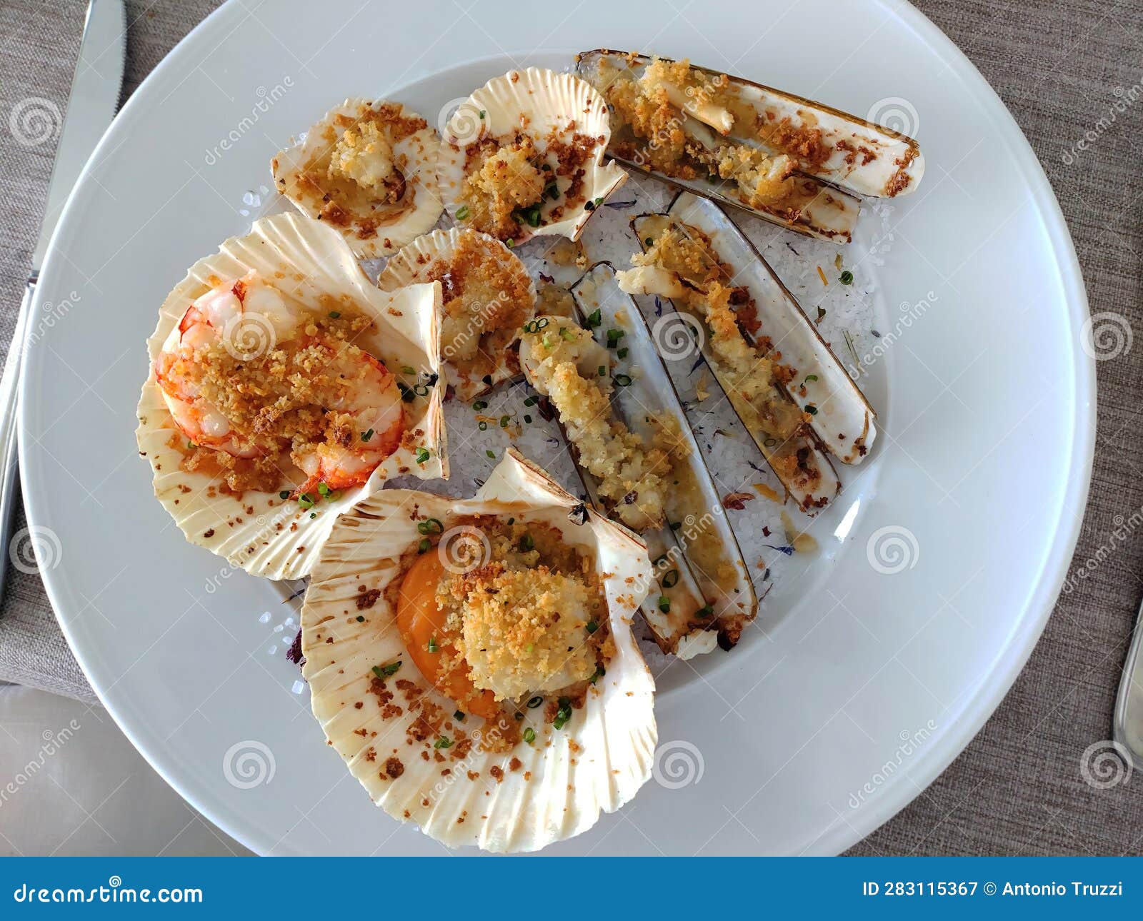Dish with Shellfish Gratin in the Oven Stock Image Image of cook