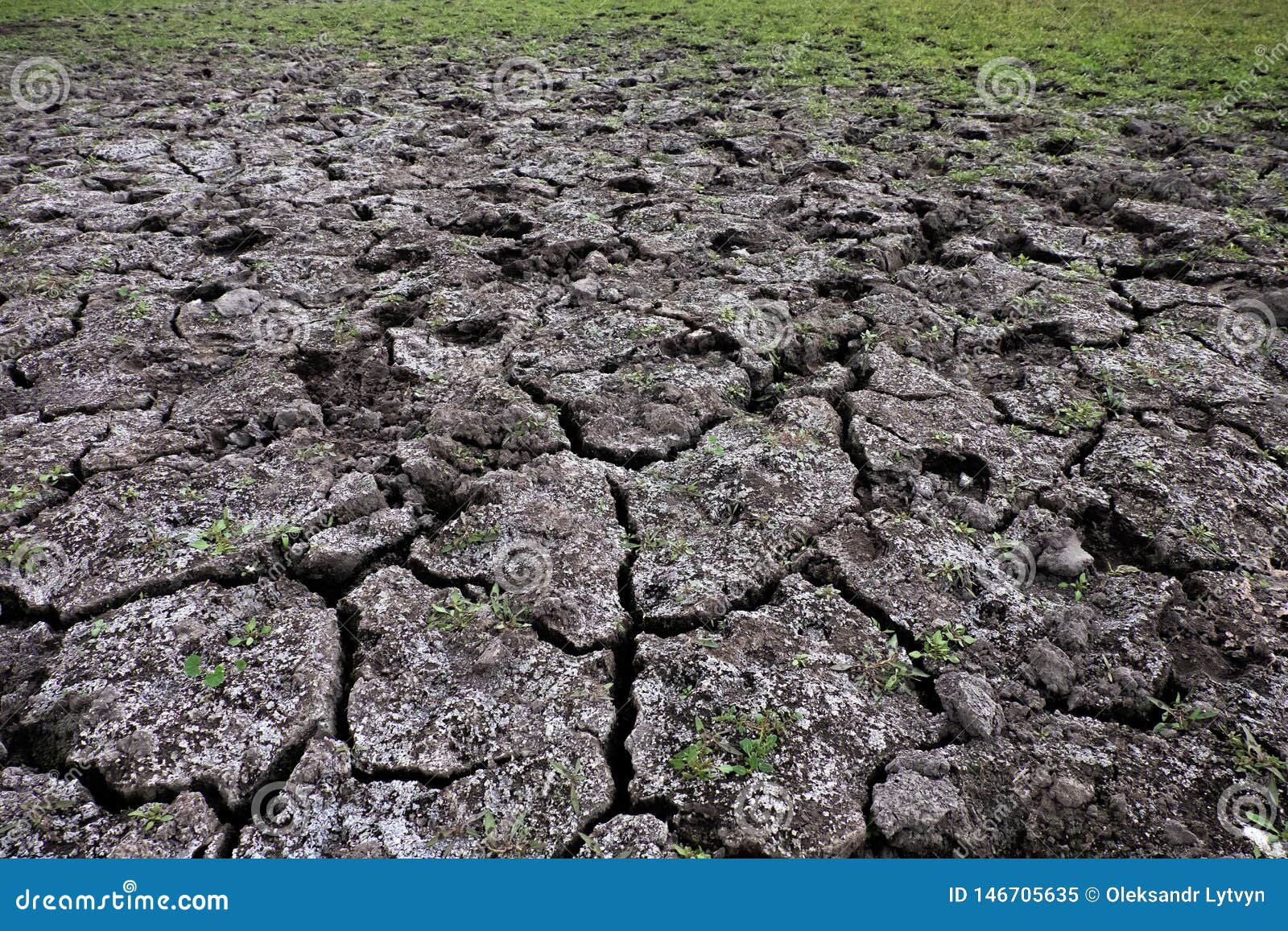 Top View of Dry Cracked Soil with Grass Stock Image Image of arid