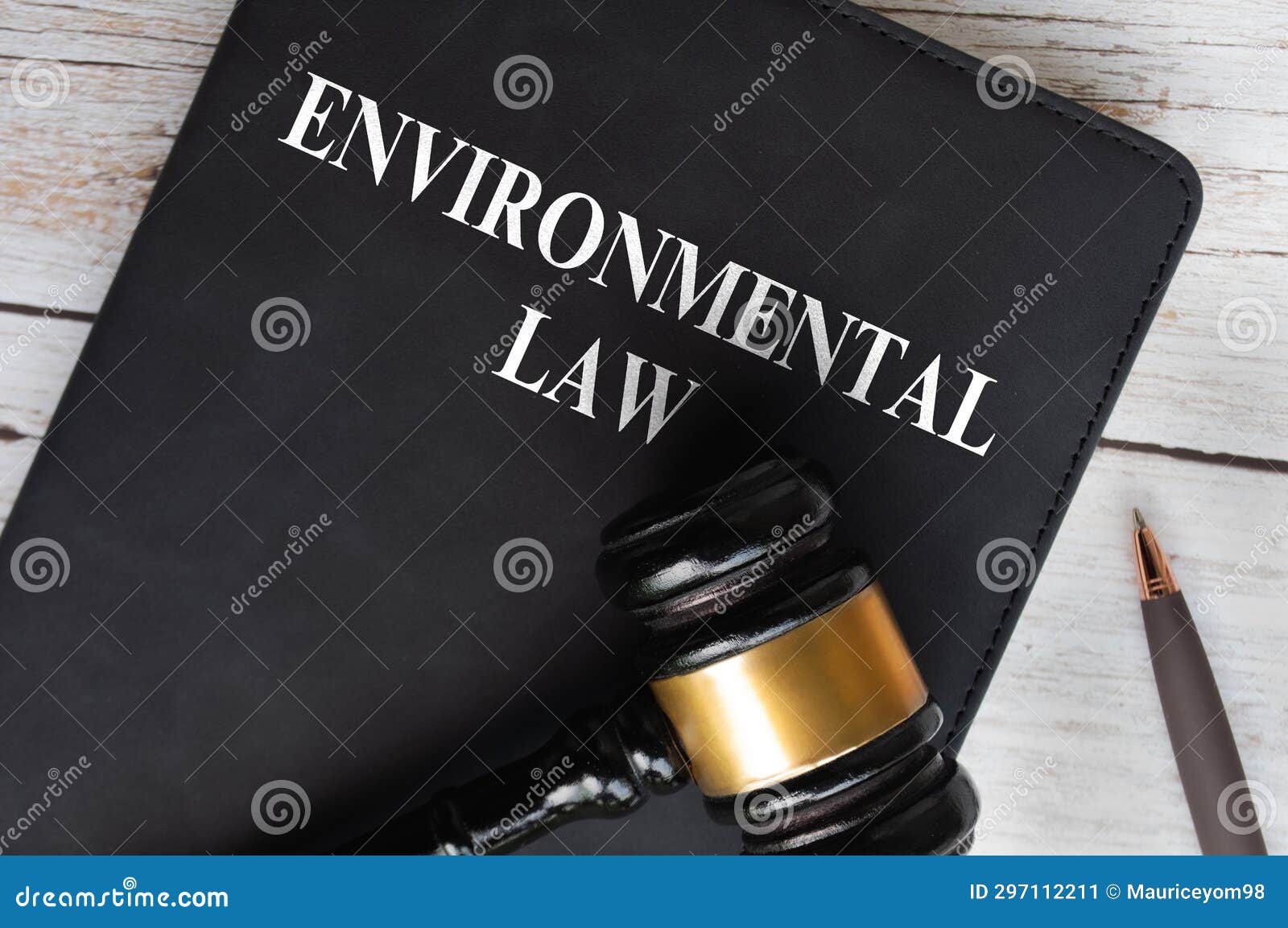 Top View of Environmental Law on Black Book with Gavel Background. Law