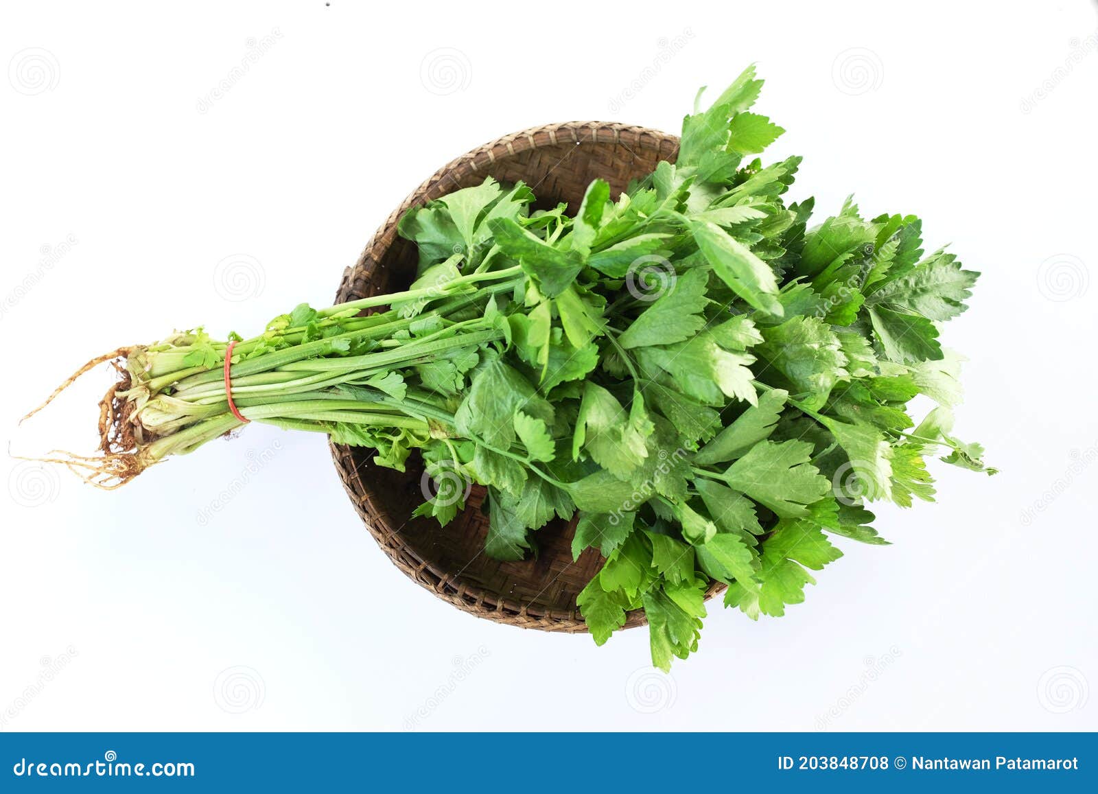 top view fresh garland chrysanthemum ,chrysanthemun coronarium also known as tong hao linn vegetablein the rattan basket isolate