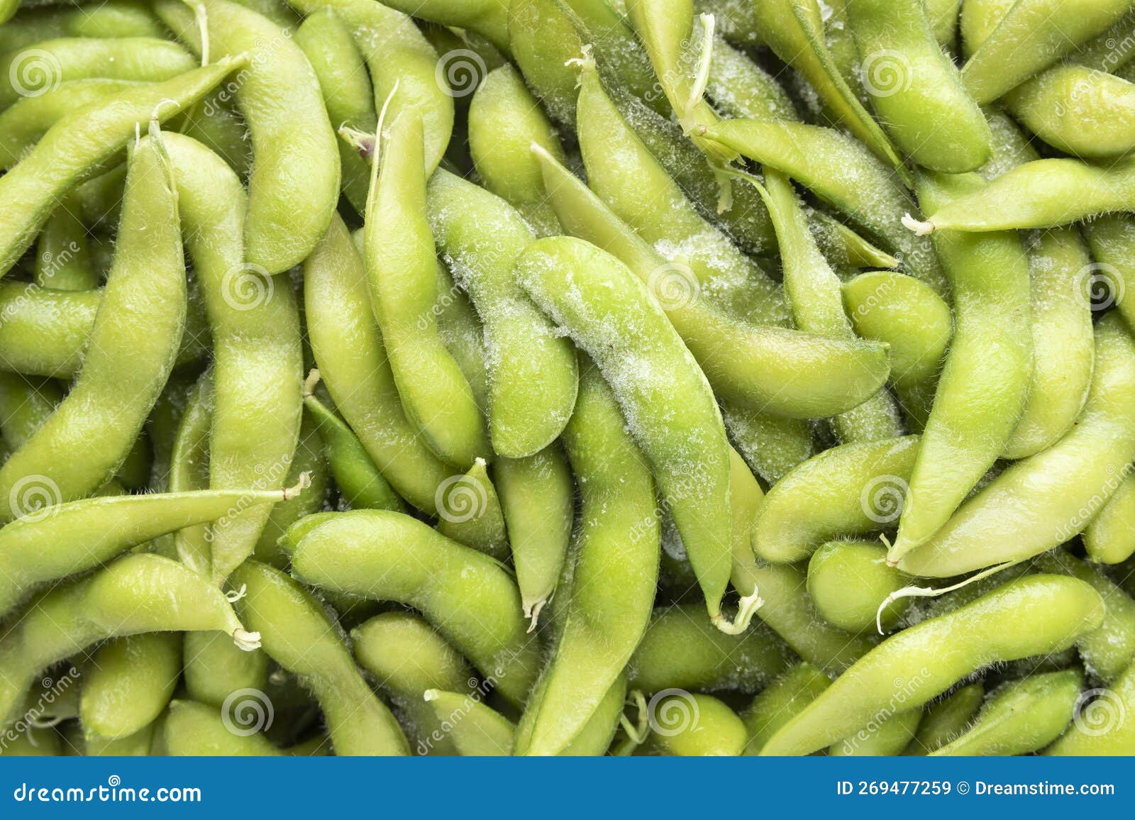 Top View of Frozen Green Soybeans Stock Image Image of pile, japanese