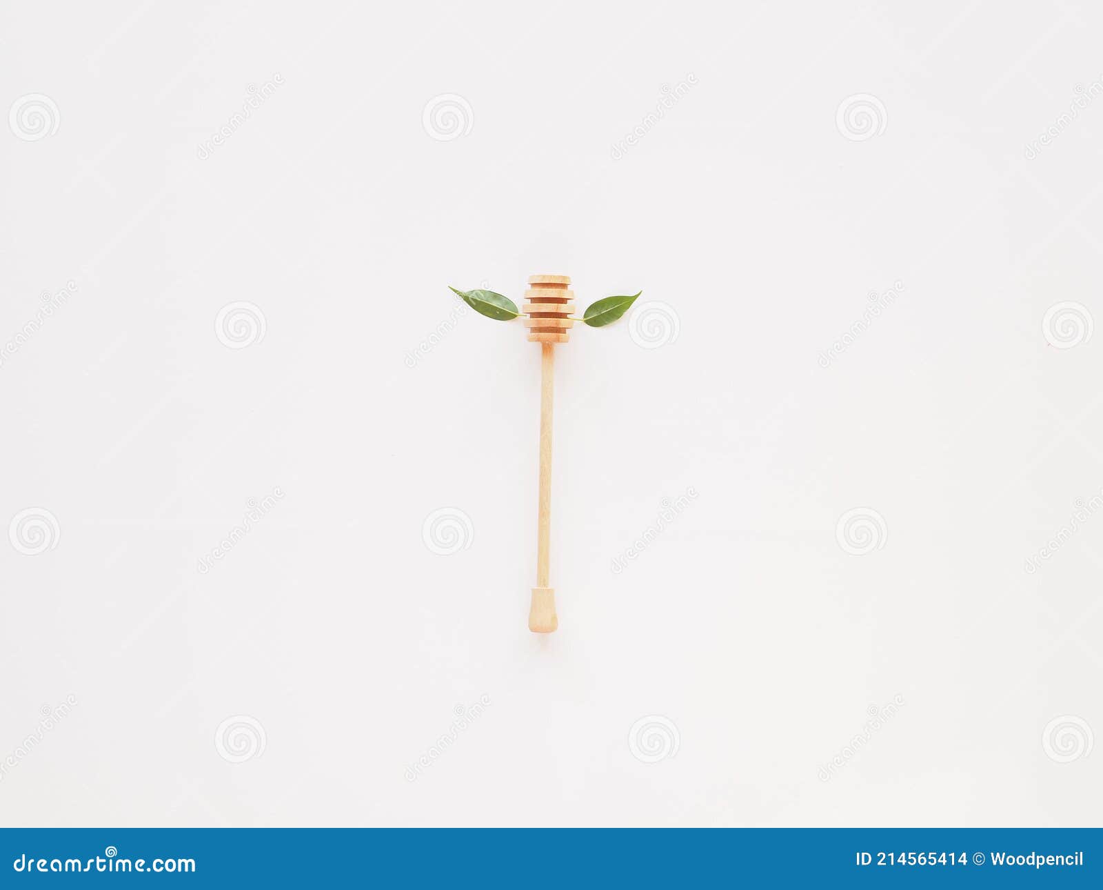 Top View Honey Dipper and Leaves Isolated on White Stock Photo Image