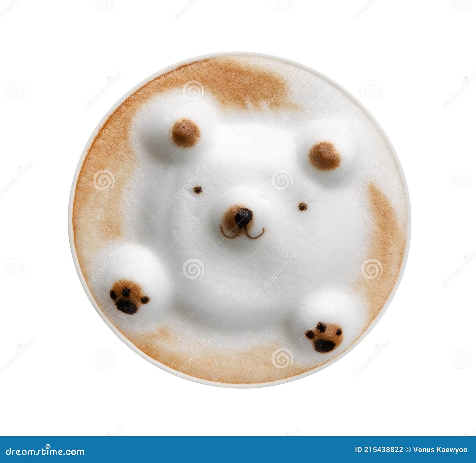 Shaping Teddy - Latte