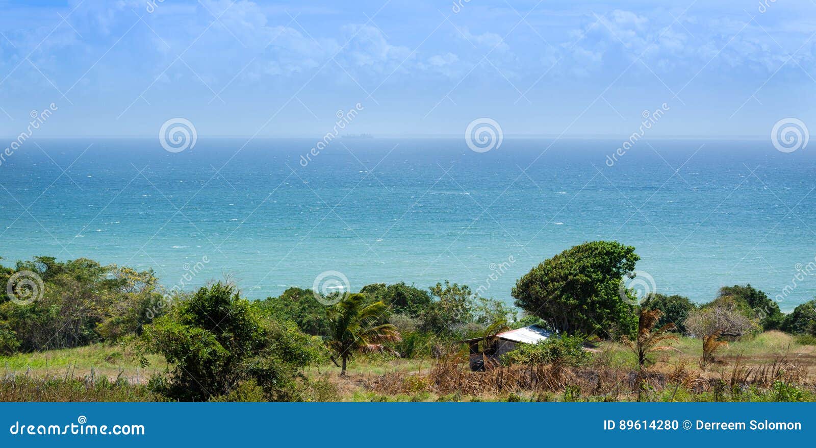 Top view of island stock photo. Image of caribbean, scenic 89614280