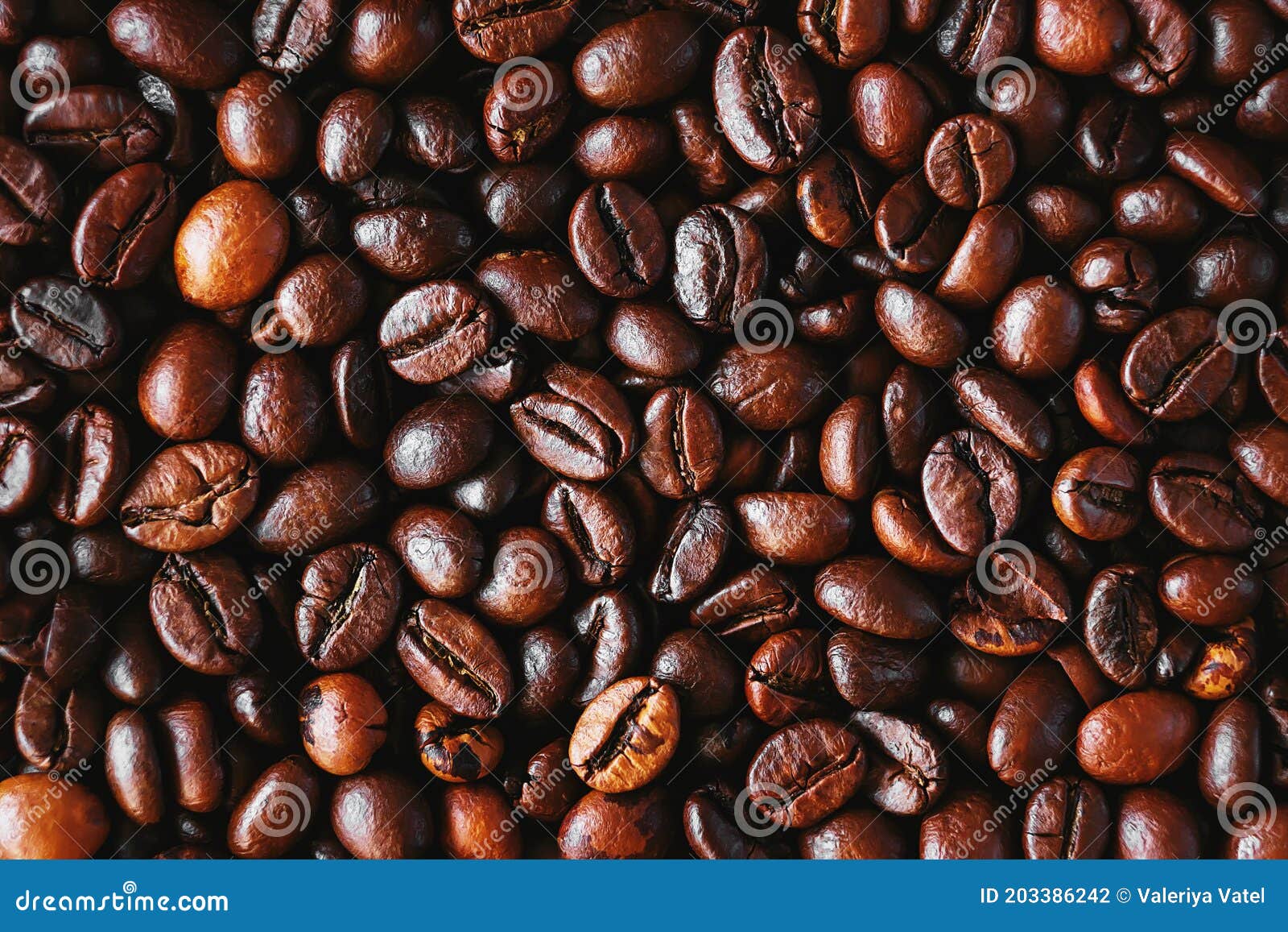 Top View of a Many of Aromatic Quality Roasted Coffee Beans. Coffee