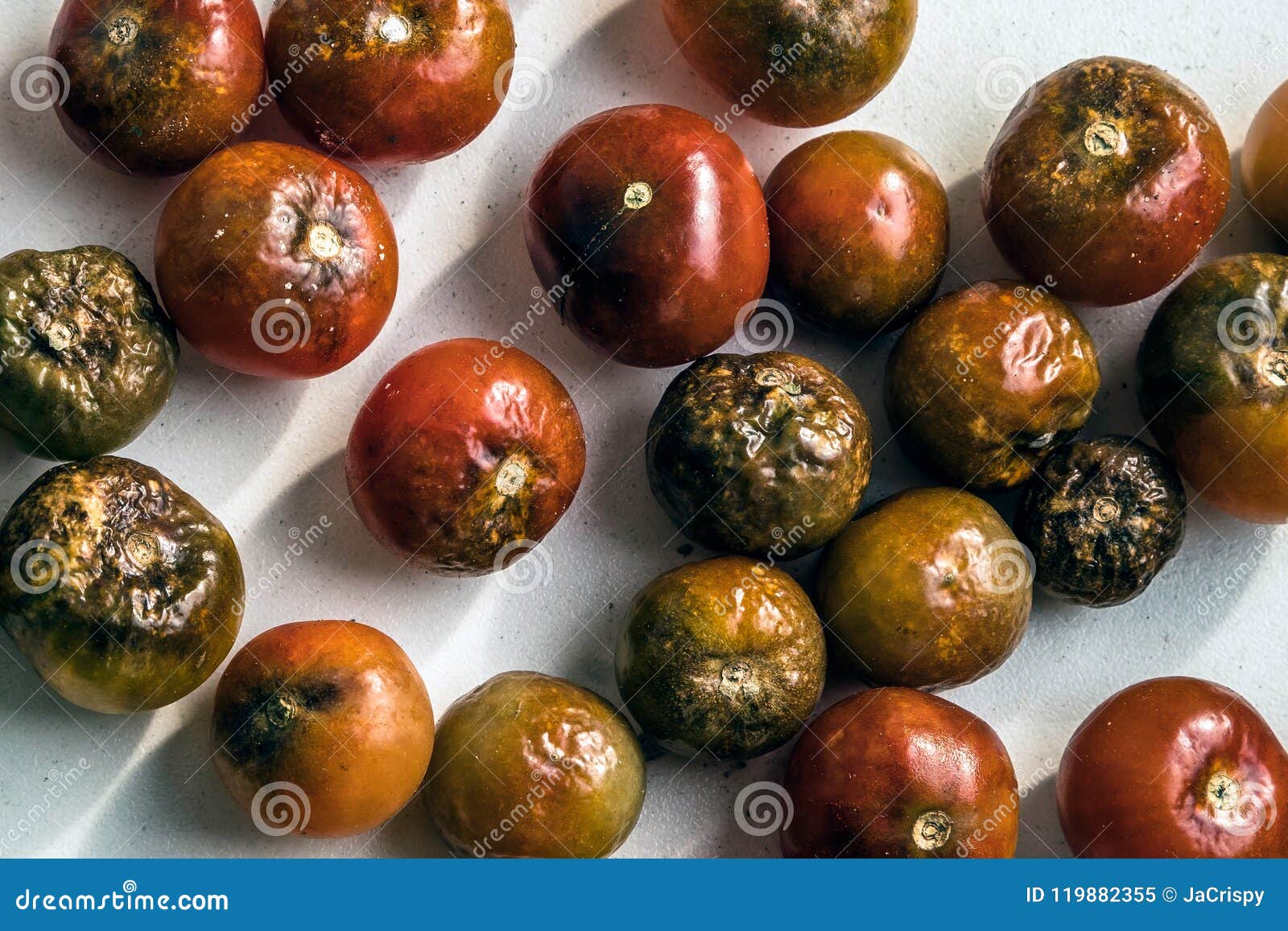Old Rotten Cherry Tomatoes on White Background from Above Stock Image ...