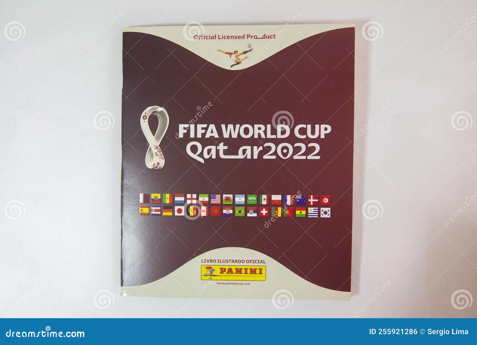 FIFA World Cup 2022 PS4 