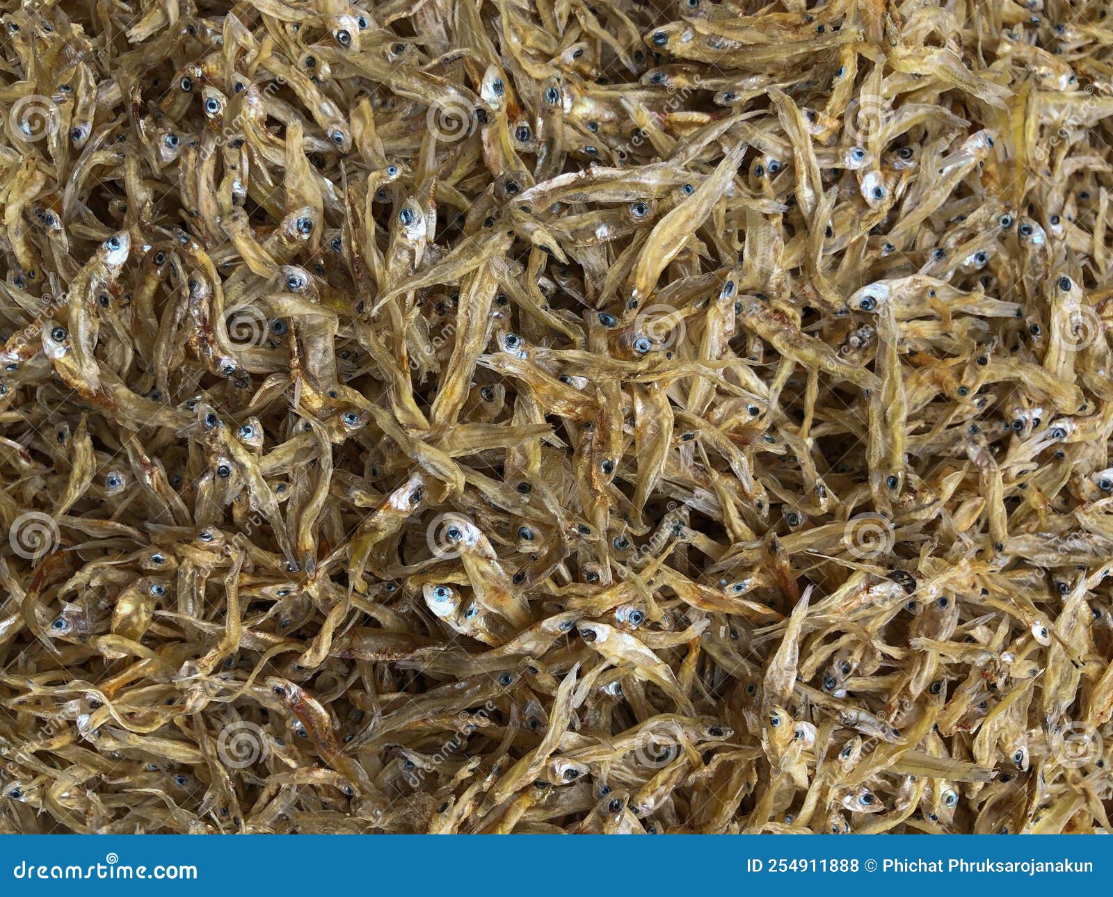Top View Pile of Dried Fish. Raw Dried Fish for Food Stock Photo