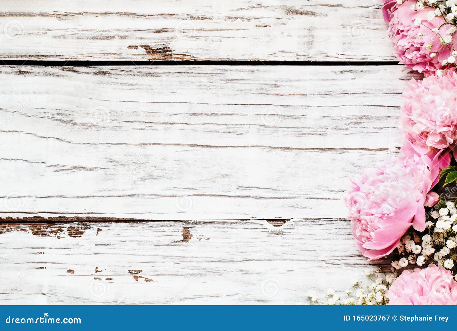 Hoa paeonia và baby\'s breath là một sự kết hợp hoàn hảo giữa sự đẹp và sự thanh lịch. Hãy ngắm nhìn hình ảnh này và cảm nhận sự tươi mới và tinh tế của những bông hoa này.