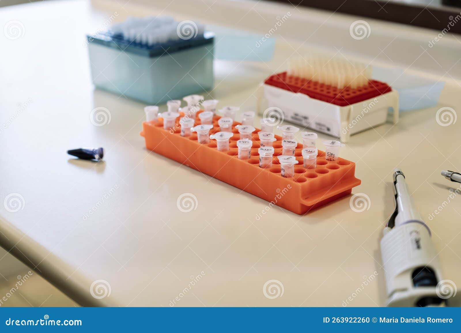 Top View of Pipette and Test Tubes in a Laboratory Stock Photo Image